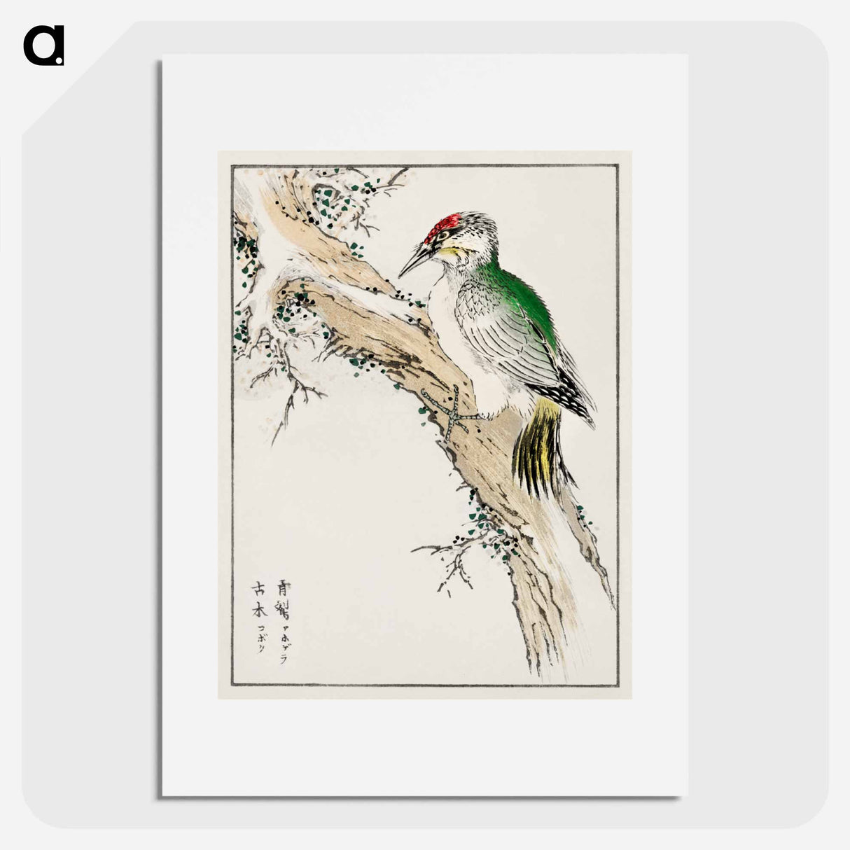 アートポスター-Japanese Green Woodpecker Illustration
- 鳥類図鑑 Poster.