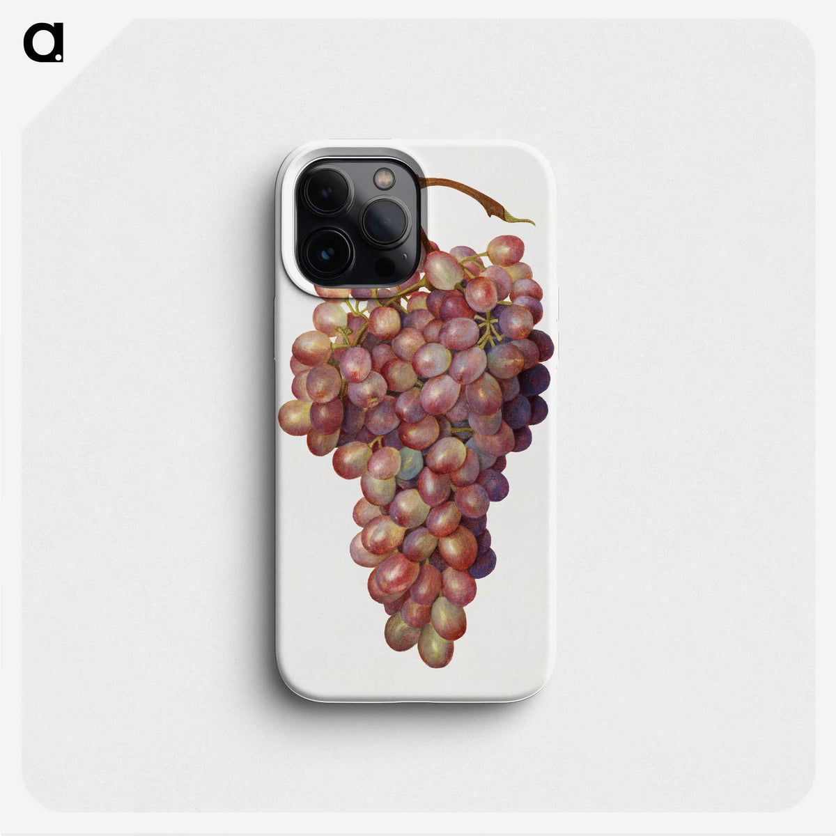 1-35_USDA-Watercolor-Fruit-Painting-Collection_phone