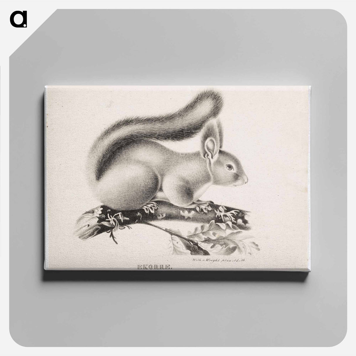 Squirrel - Wilhelm von Wright Canvas.