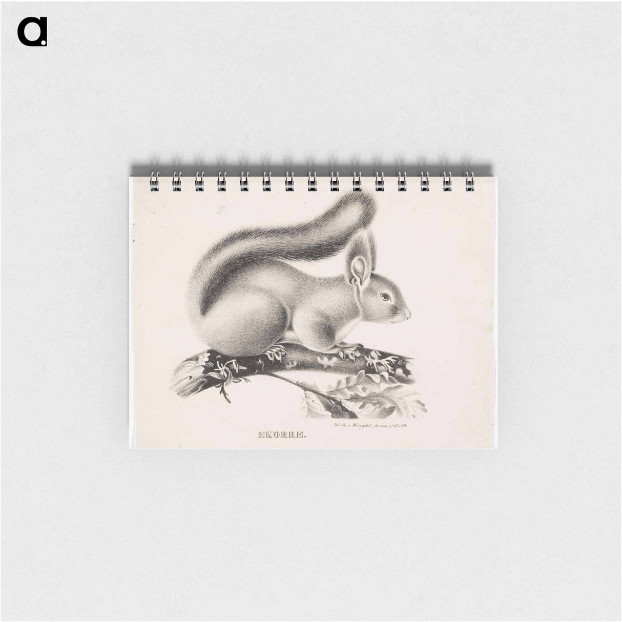 Squirrel - ヴィルヘルム フォン ライト Memo.