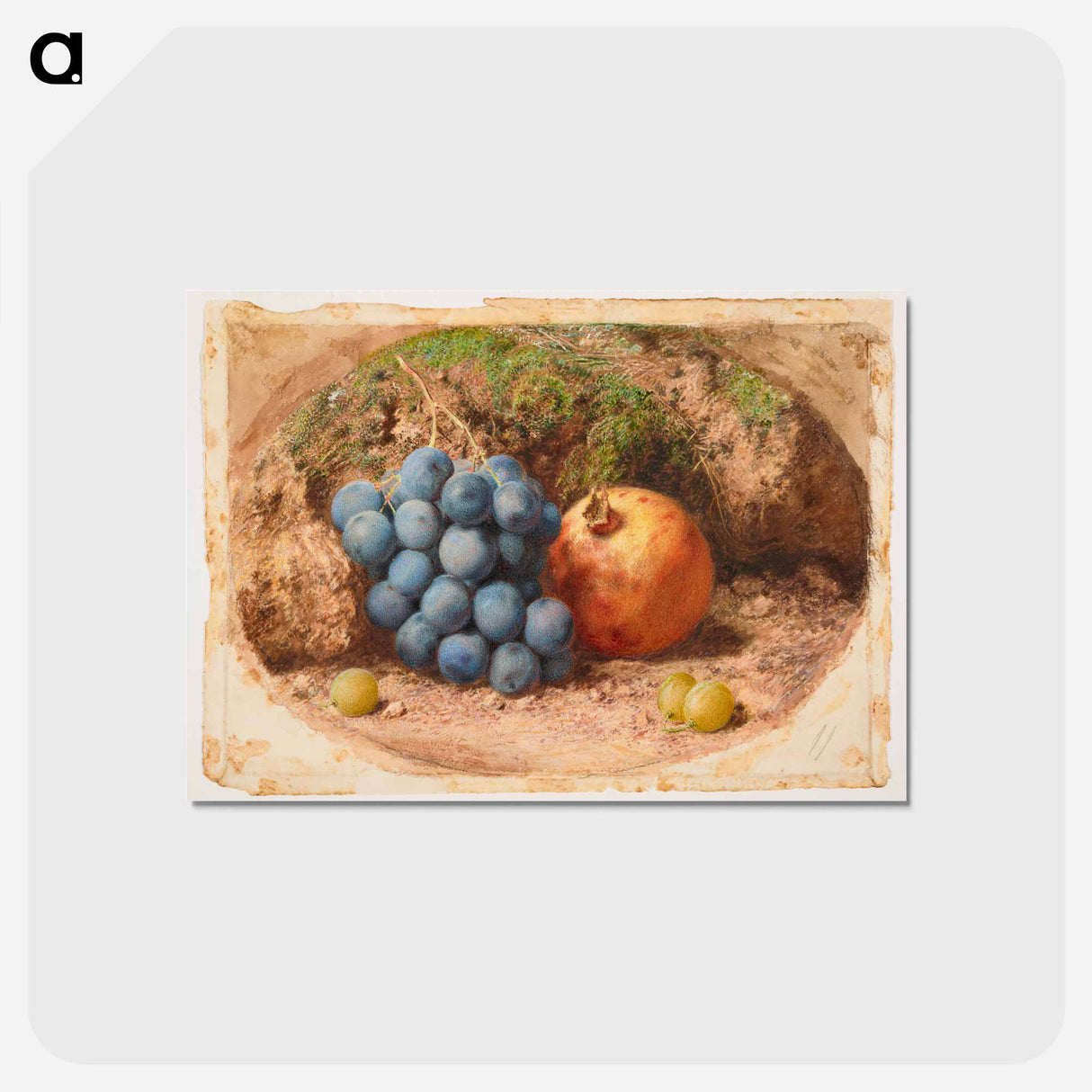 アートポストカード-Still Life with Grapes and a Pomegranate - ウィリアム ヘンリー ハント Postcard.