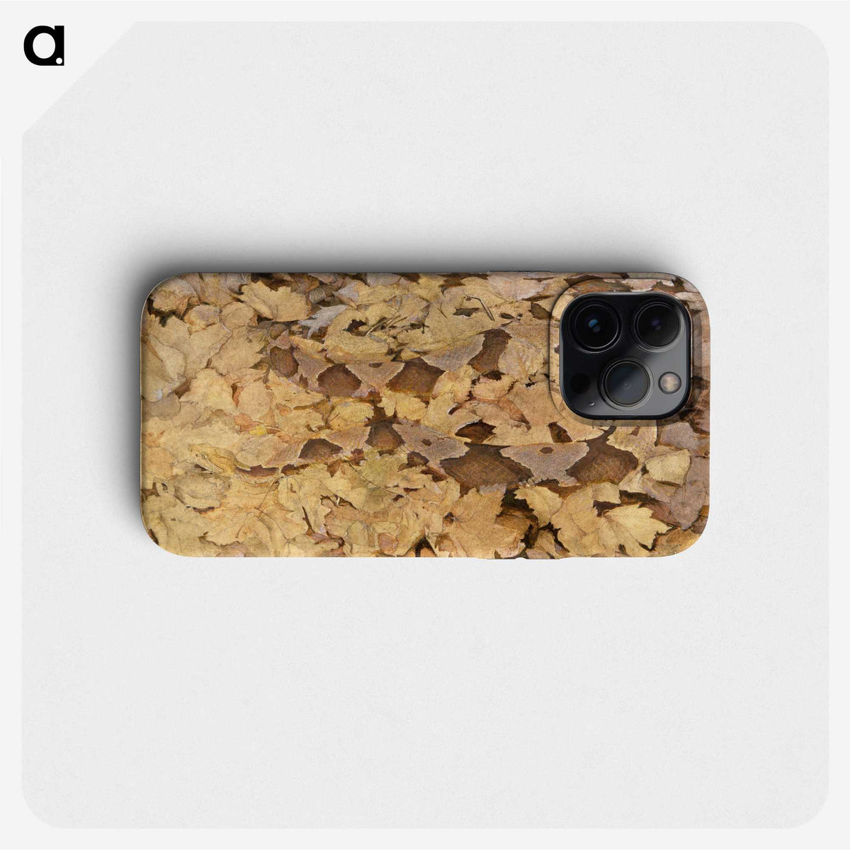 1-36_Abbott-Handerson-Thayer_phone