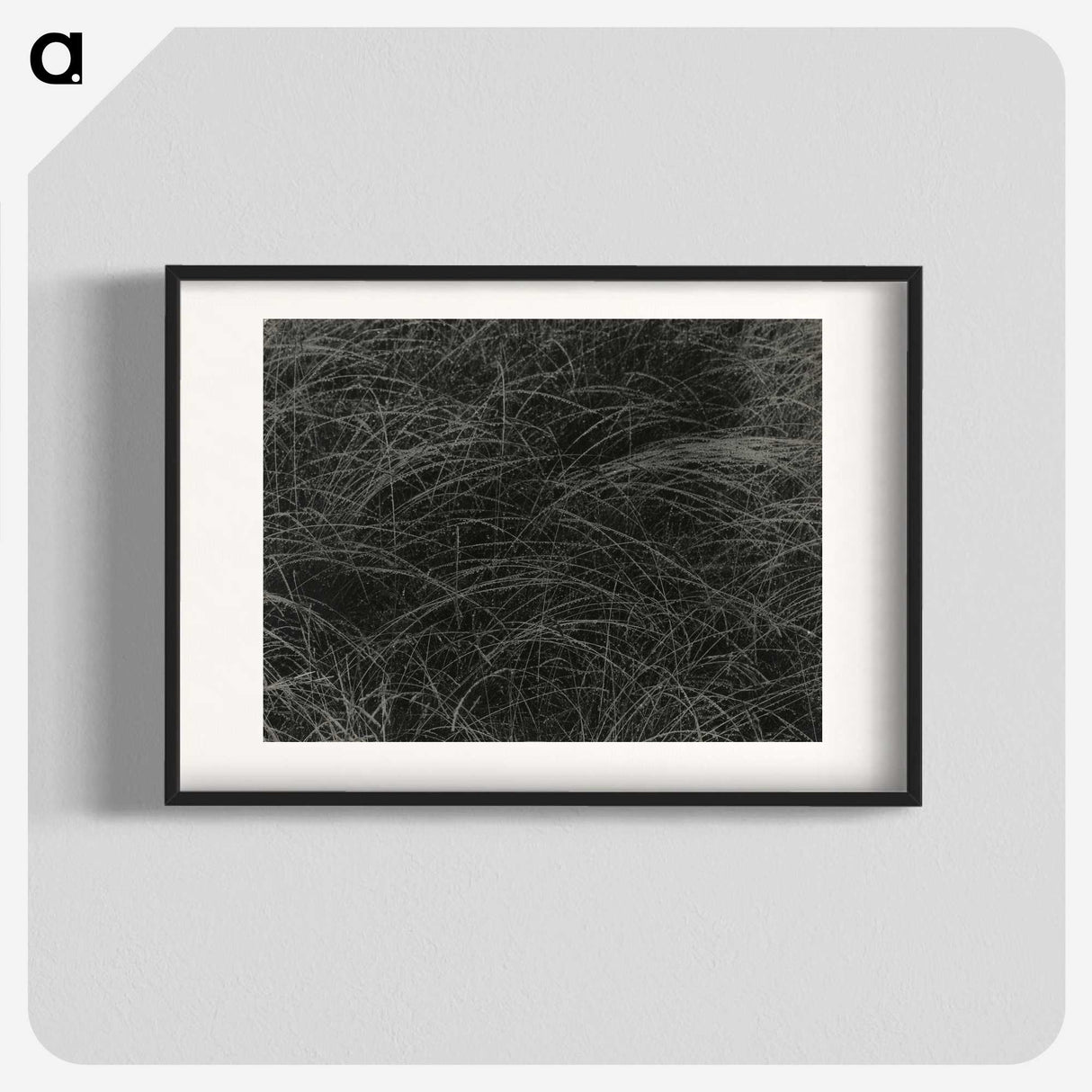 1-36_Alfred-Stieglitz_blk