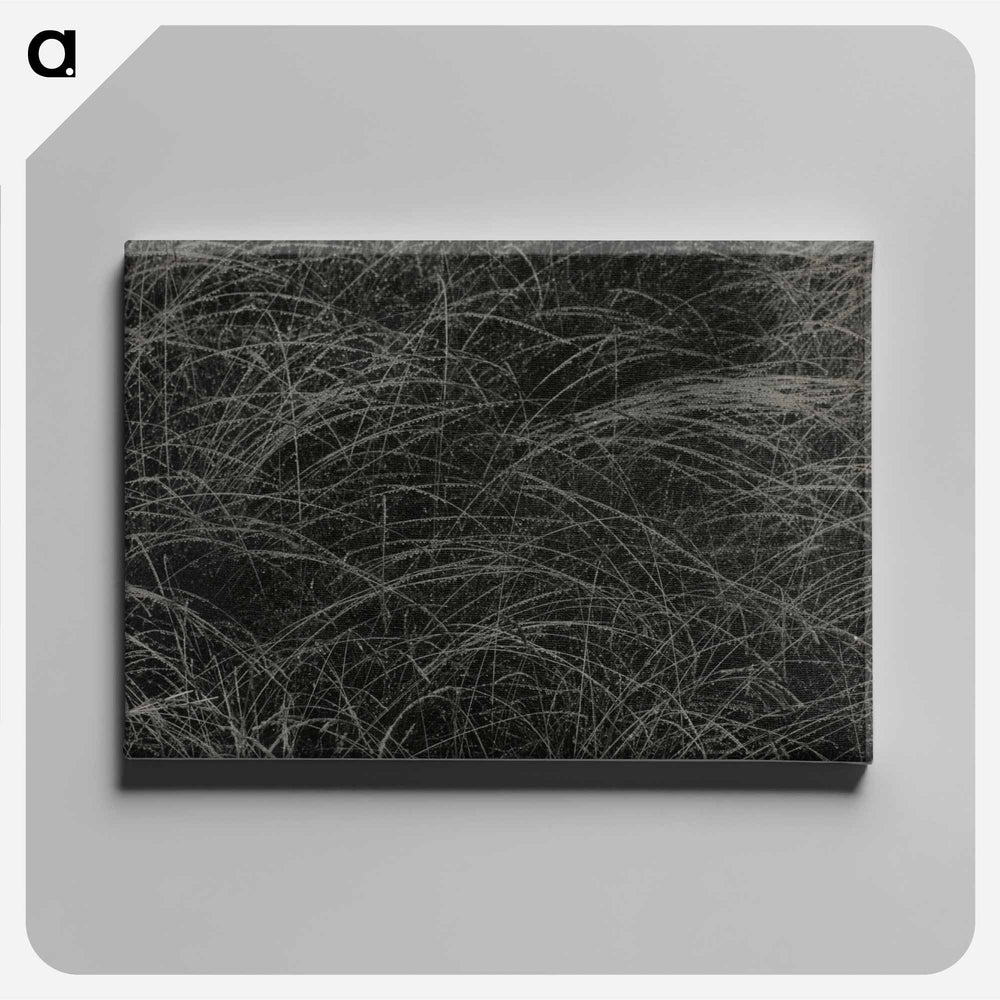 Equivalent - アルフレッド スティーグリッツ Canvas.