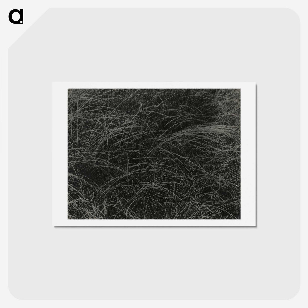 1-36_Alfred-Stieglitz_hagaki