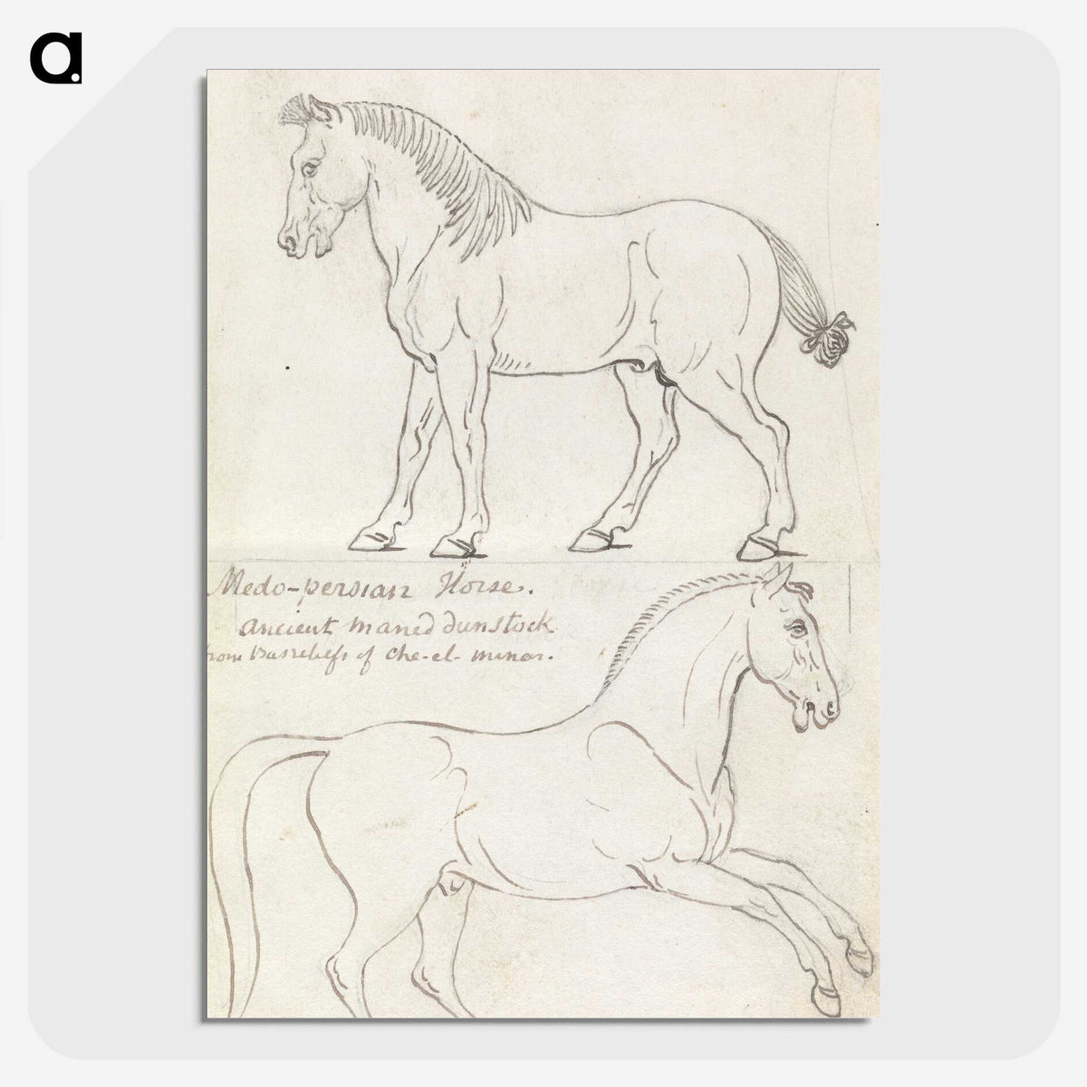 1-36_Charles-Hamilton-Smith_picture-crop