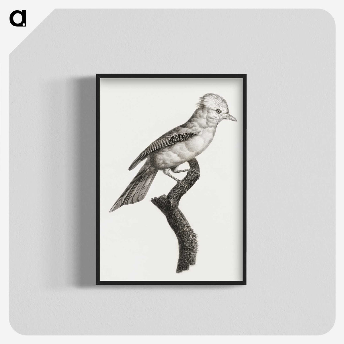 1-36_Des-Oiseaux-de-Paradis_blk-crop