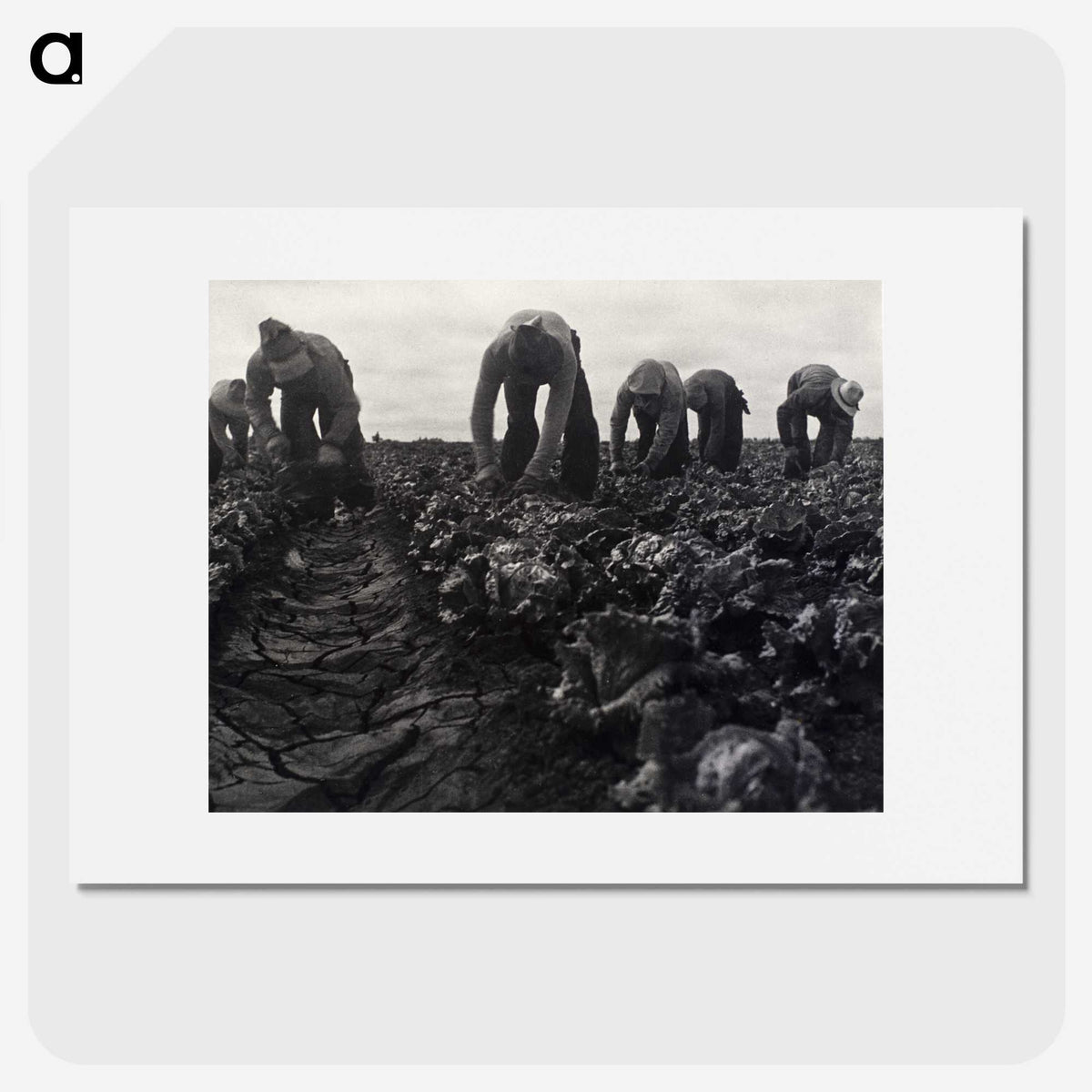 1-36_Dorothea-Lange_picture