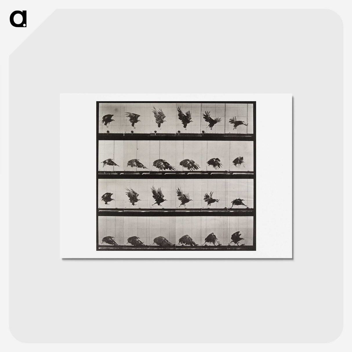 1-36_Eadweard-Muybridge_hagaki