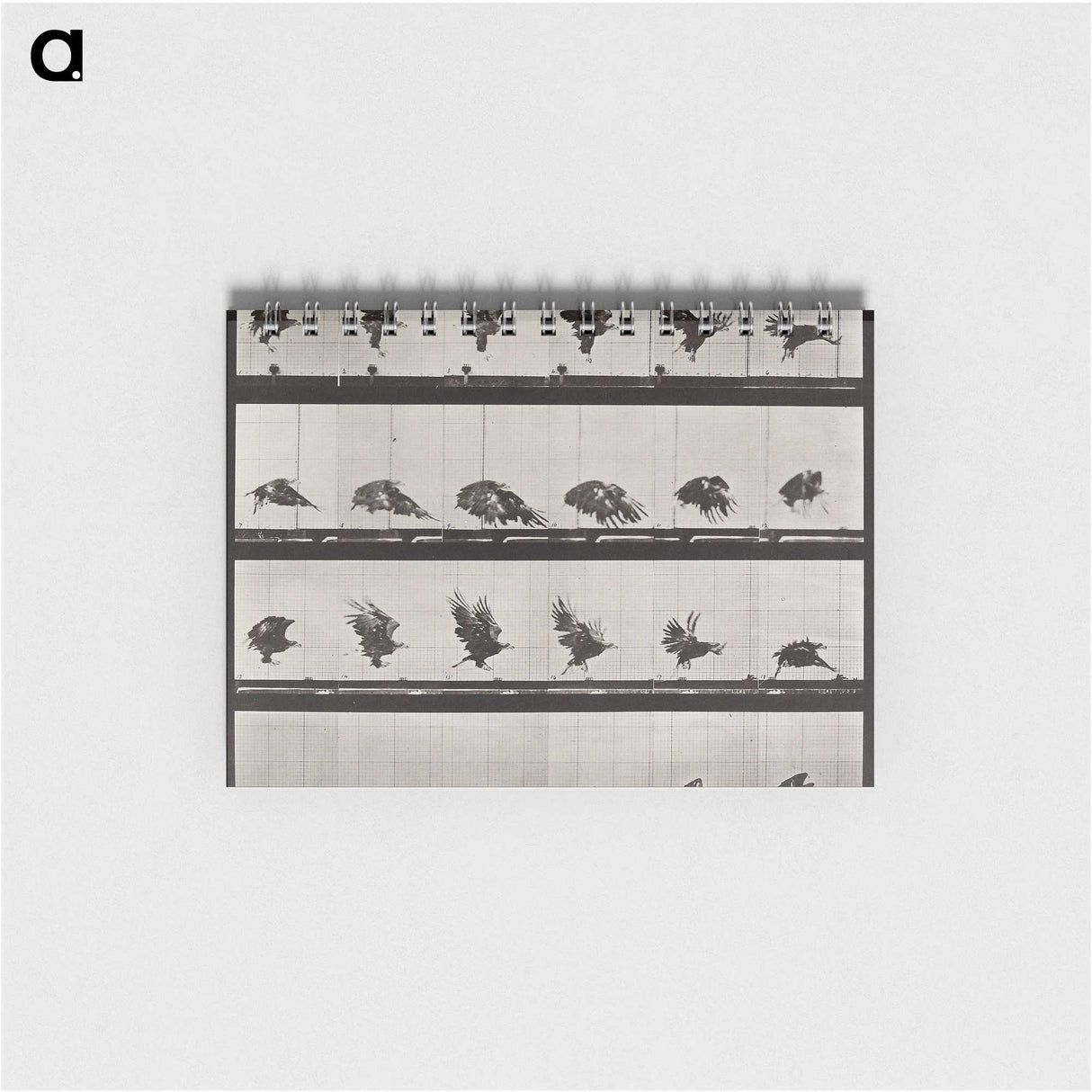 1-36_Eadweard-Muybridge_memo