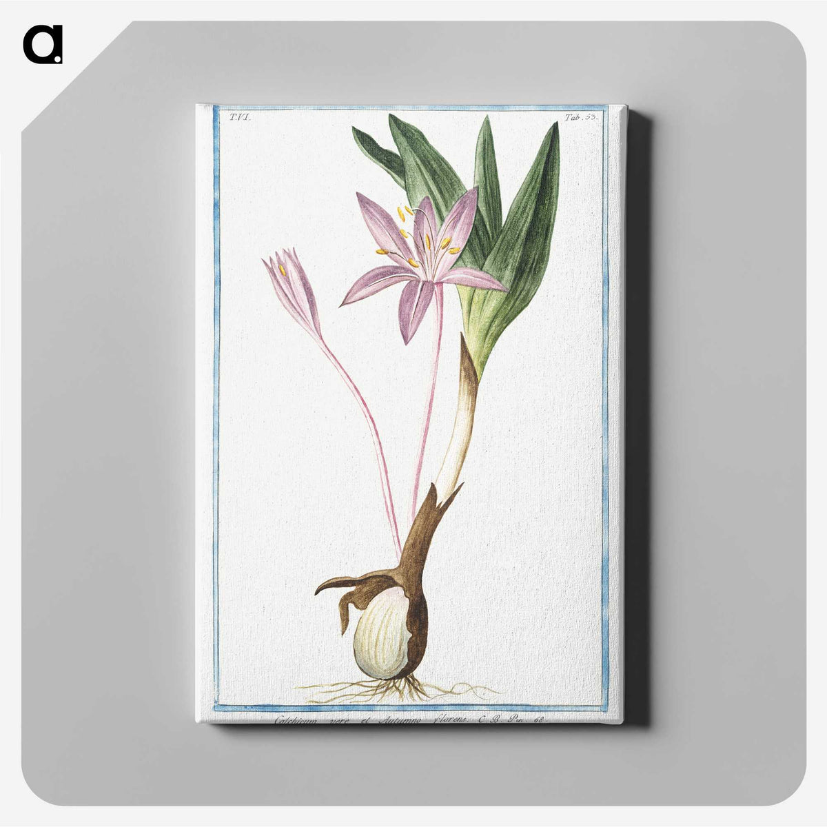1-36_Hortus-Romanus-Botanical-Plates_canvas
