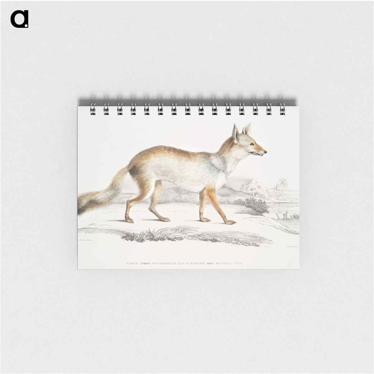 1-36_Indian-Zoology_memo