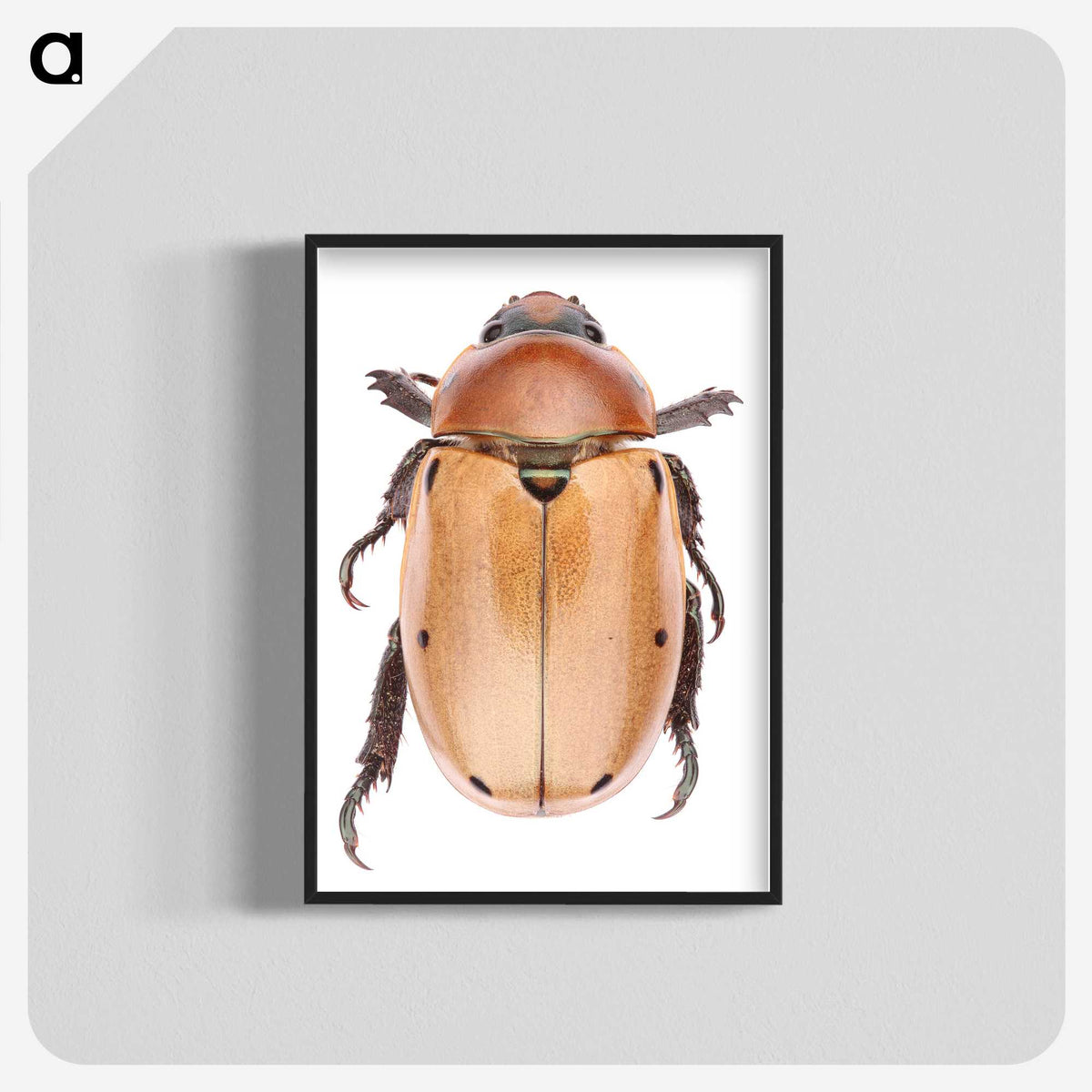 1-36_Insects-Unlocked-Project_blk-crop