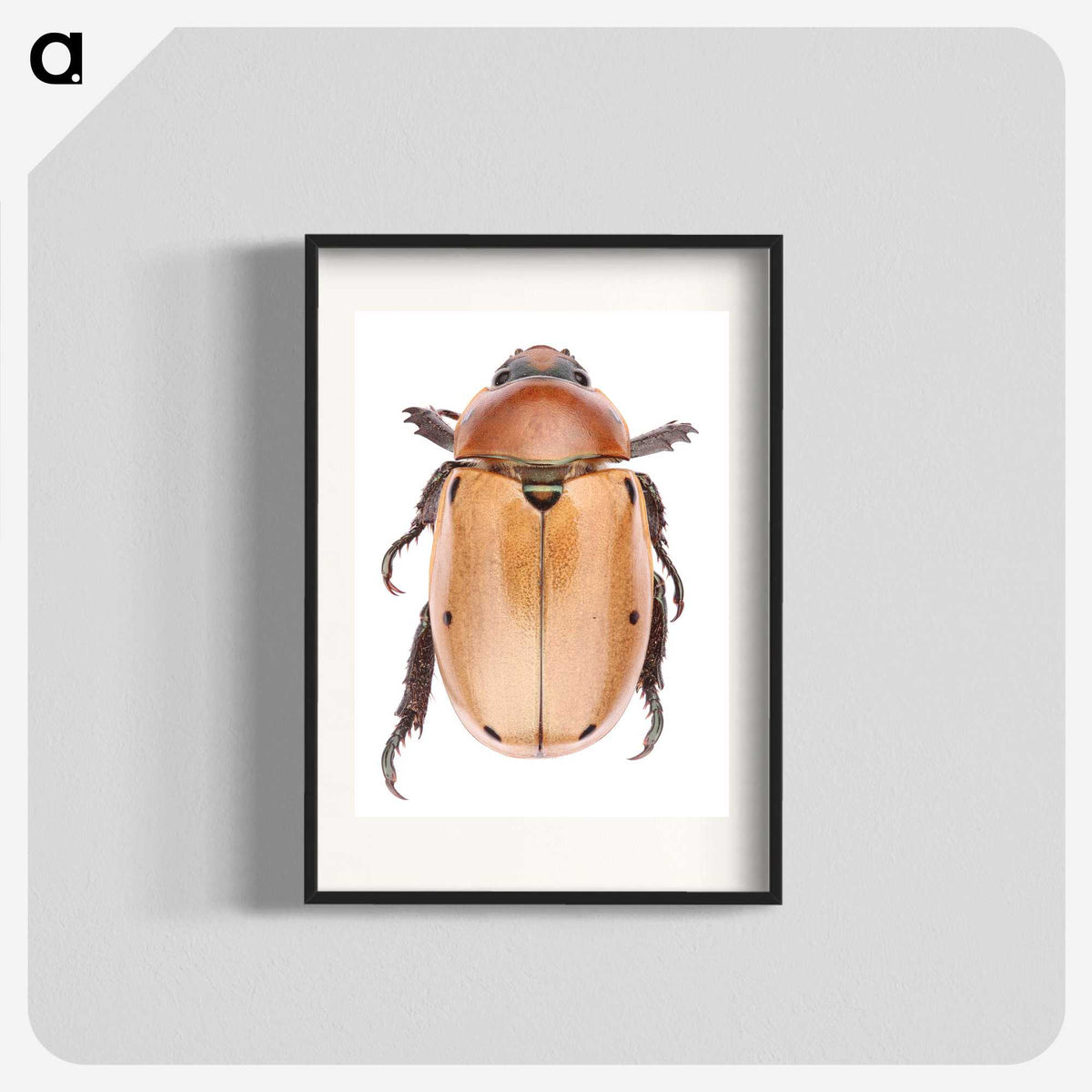 1-36_Insects-Unlocked-Project_blk