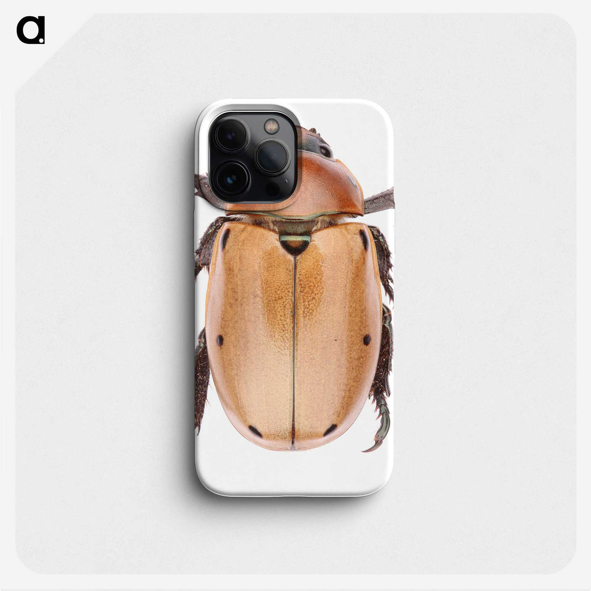 1-36_Insects-Unlocked-Project_phone