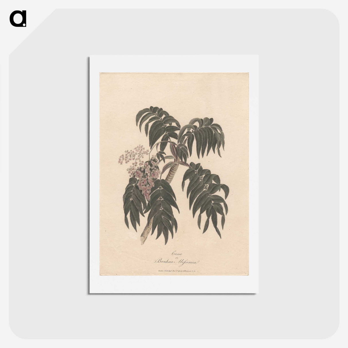 1-36_James-Heath_hagaki