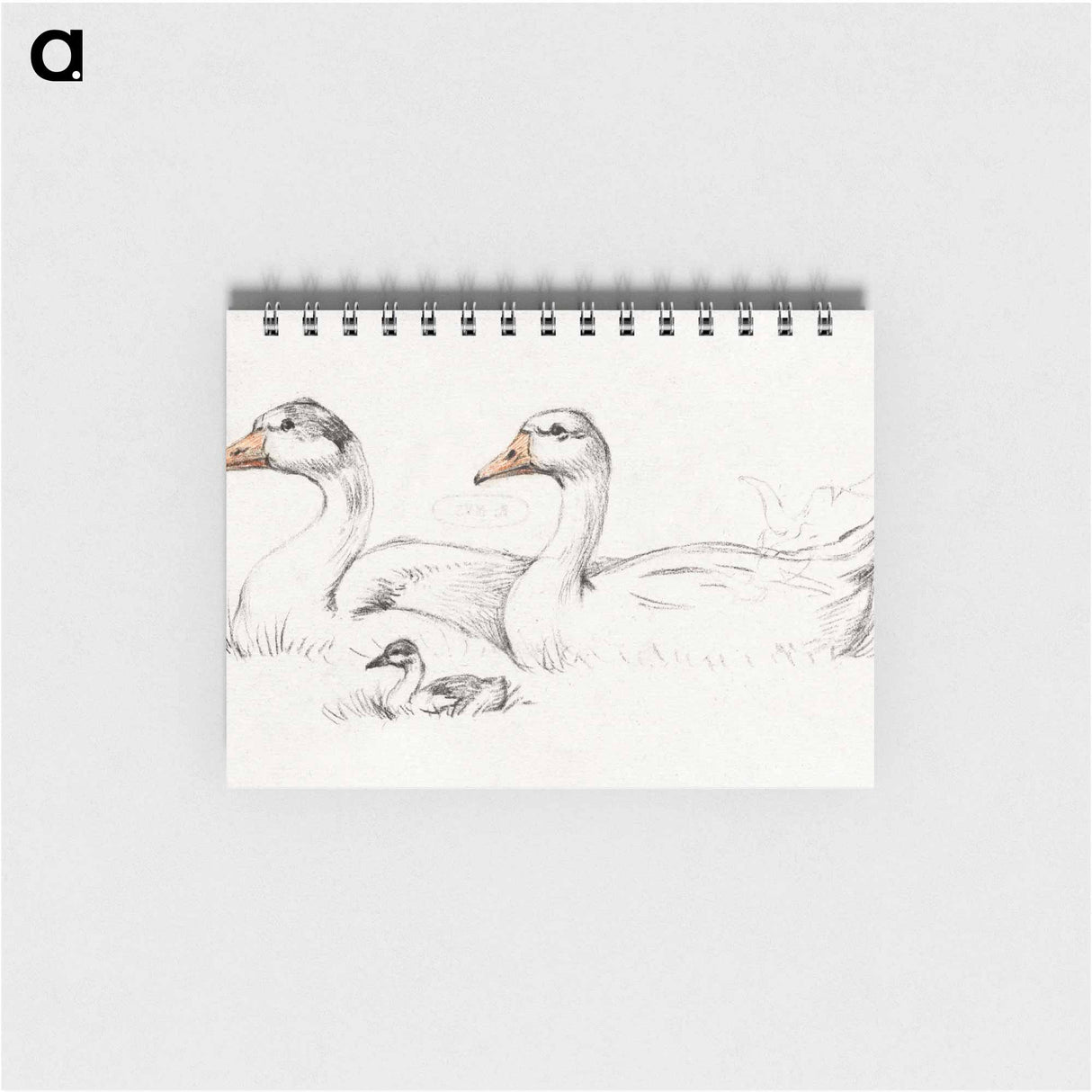 Two geese with a young drawing in high resolution by Jean Bernard - ジャン ベルナール Memo.