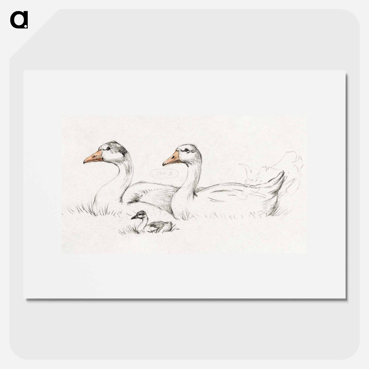 Two geese with a young drawing in high resolution by Jean Bernard - ジャン ベルナール Poster.