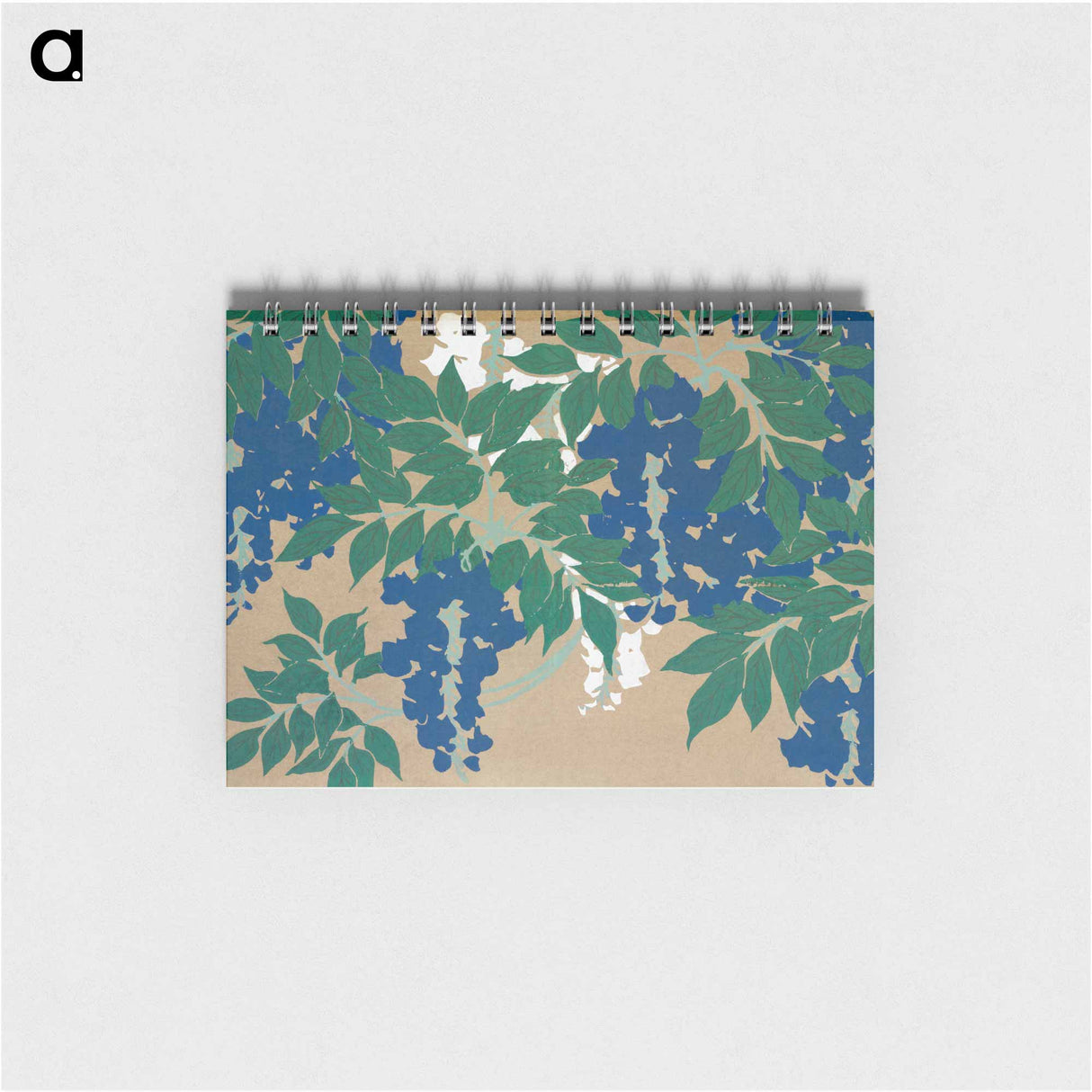 Wisteria from Momoyogusa–Flowers of a Hundred Generations - 神坂 雪佳 Memo.