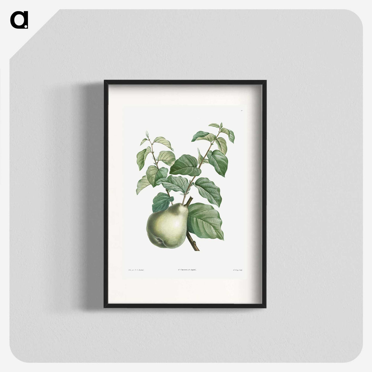 1-36_La-Botanique_blk