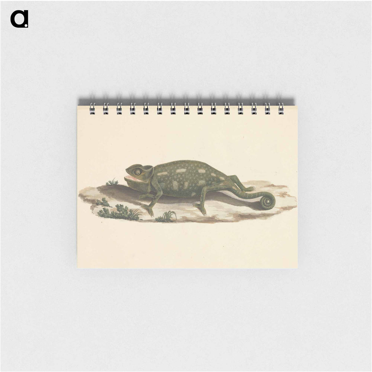 Unidentified Chameleon
- ルイージ バルガーニ Memo.