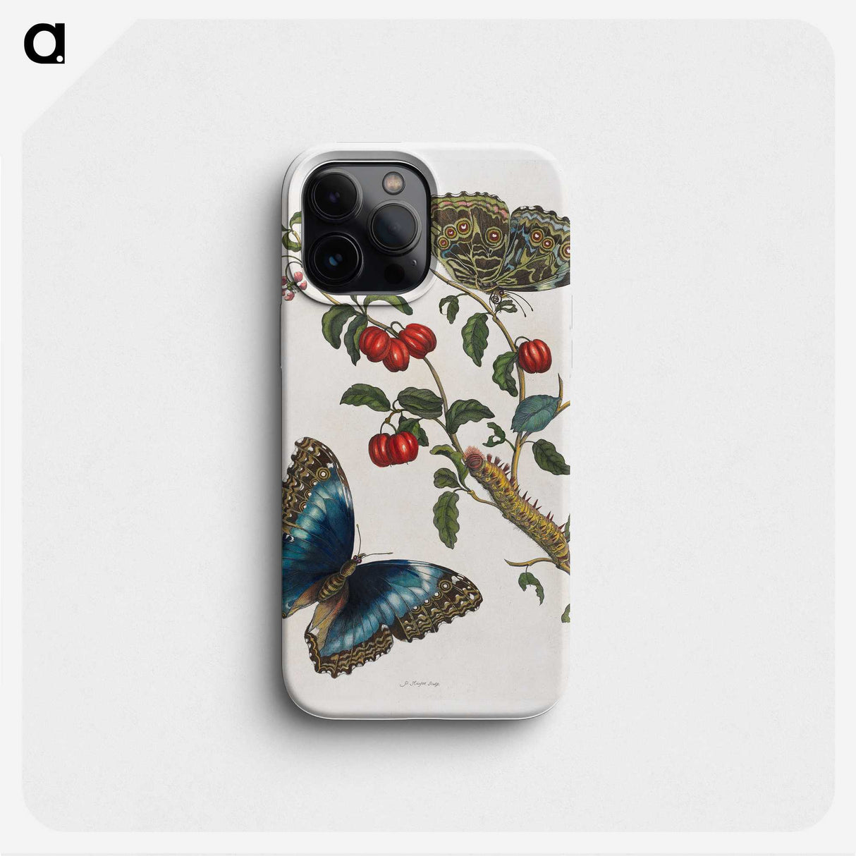 1-36_Maria-Sibylla-Merian_phone
