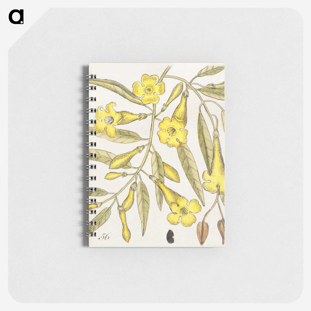 1-36_Mark-Catesby_memo