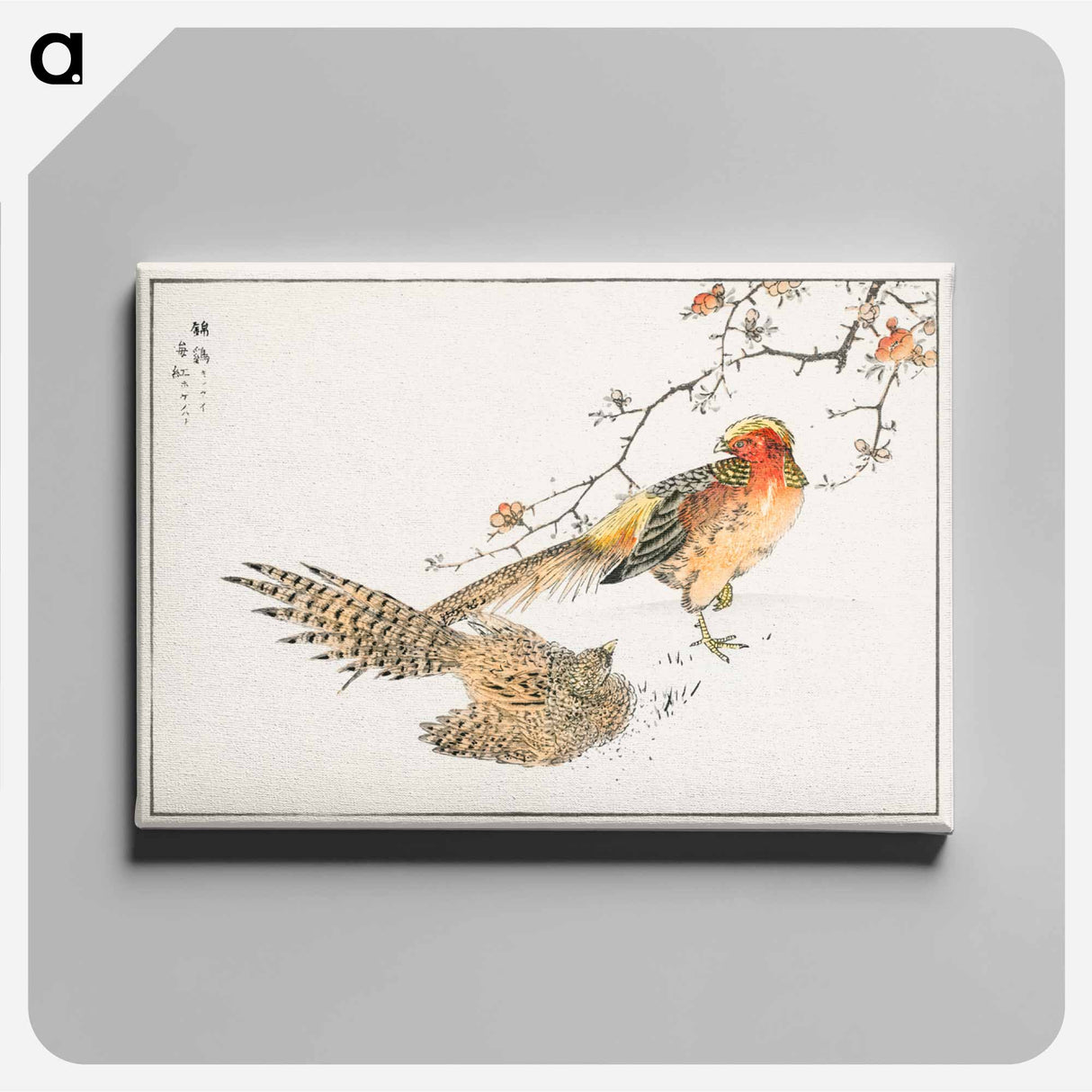 アートパネル-Golden Pheasant and Flower of Japanese Quince
- 鳥類図鑑 Canvas.