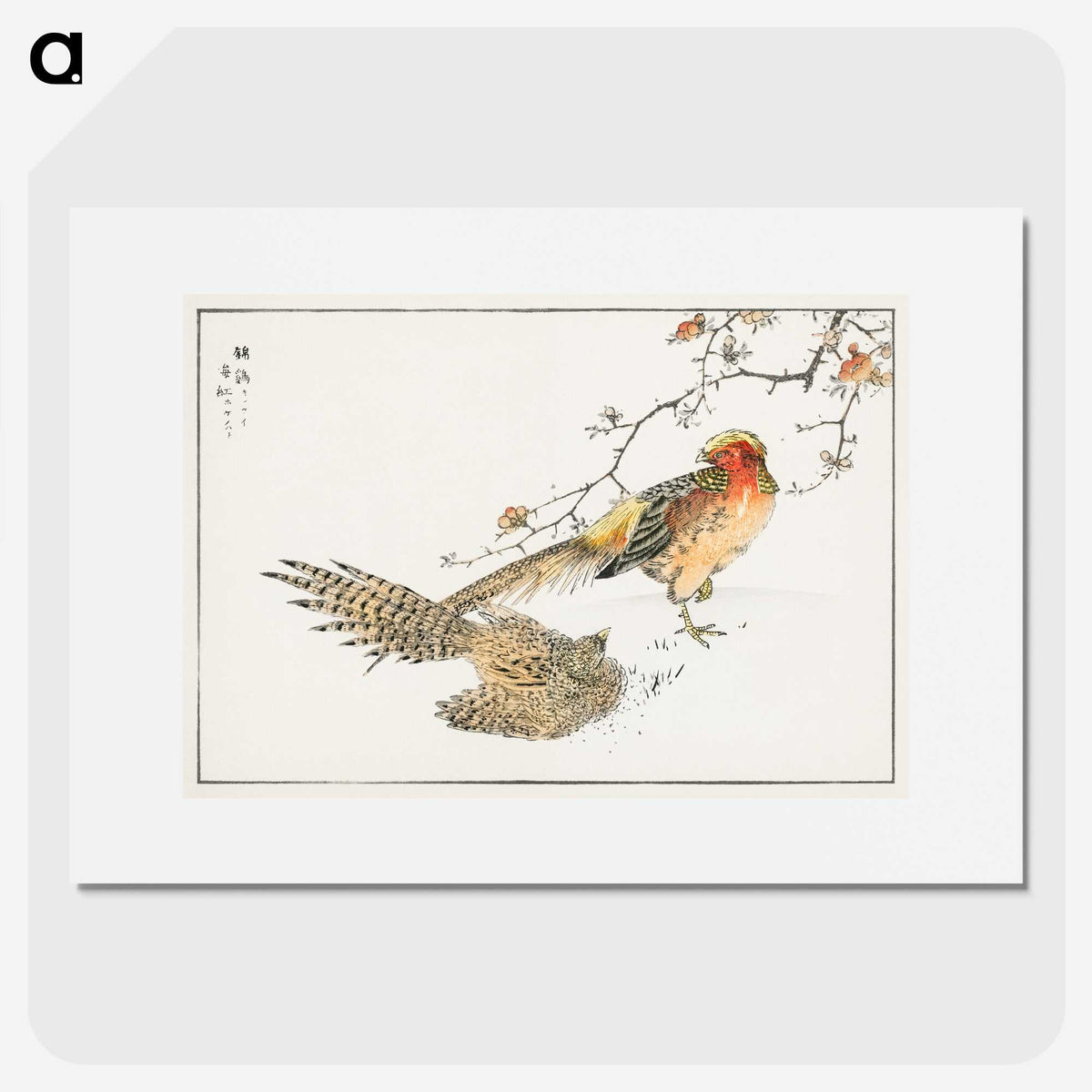 1-36_Pictorial-Monograph-of-Birds_picture