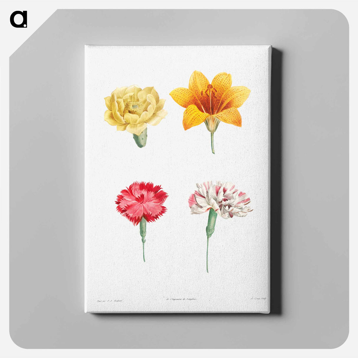 アートパネル-Flower set from La Botanique de J. J. Rousseau - ピエール ジョゼフ ルドゥーテ Canvas.