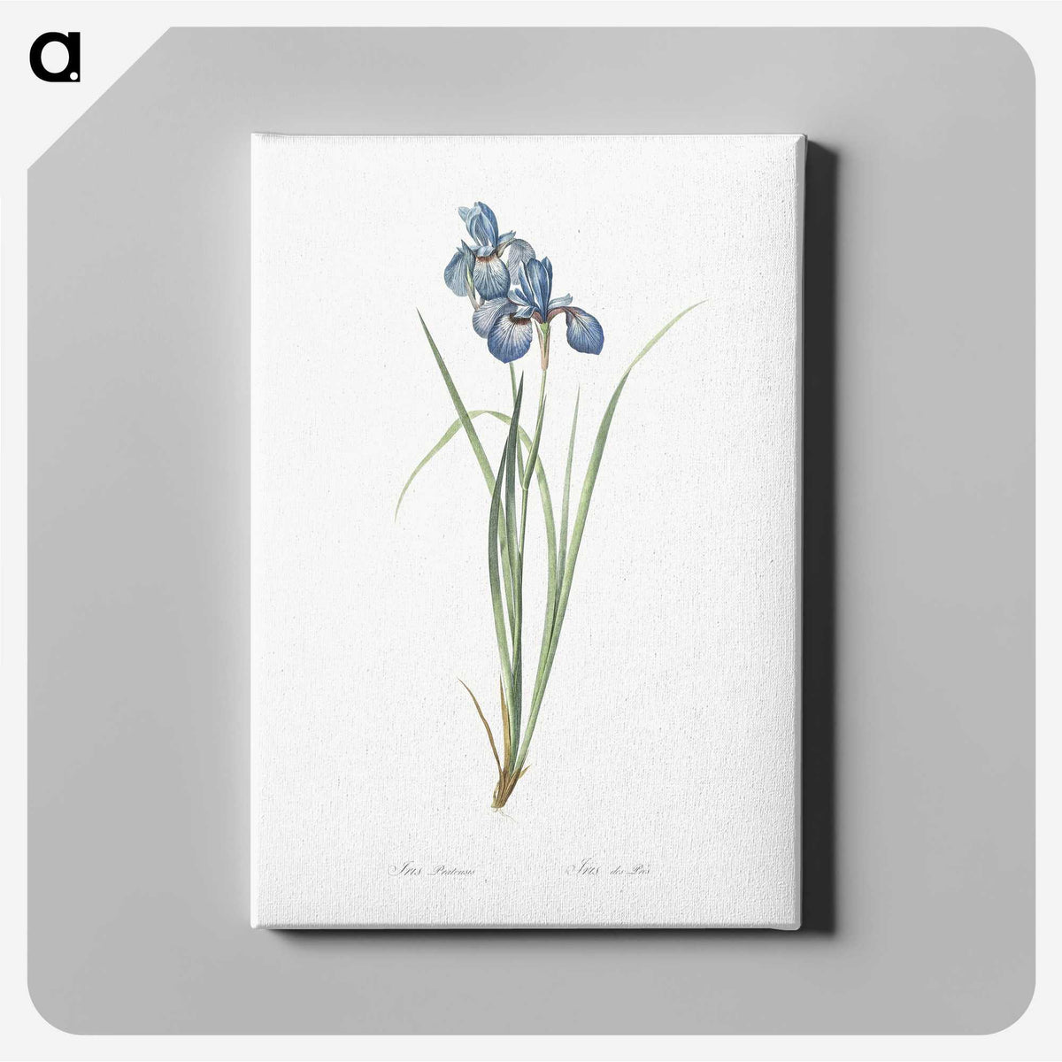 1-36_The-Lilies_canvas