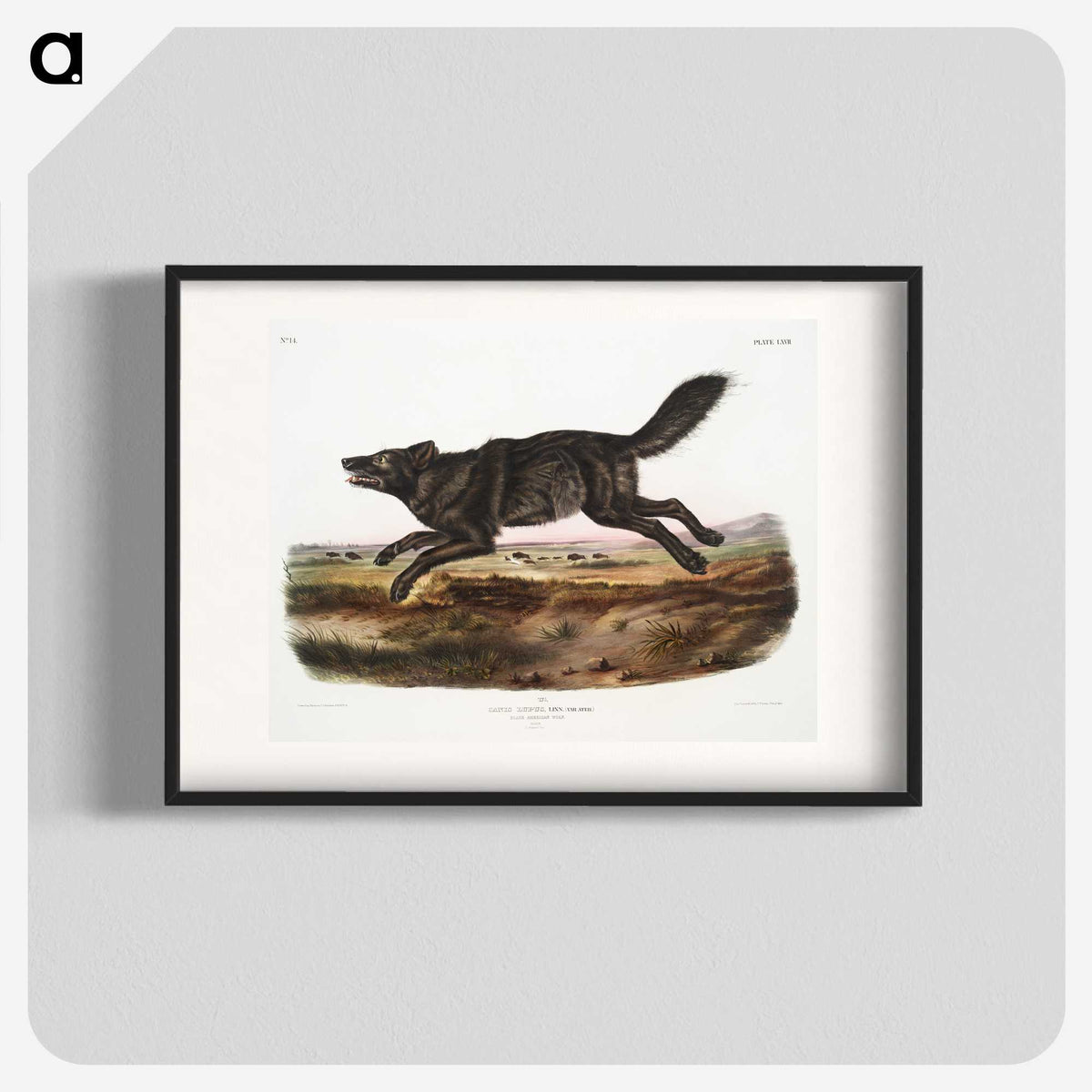 1-36_The-Viviparous-Quadrupeds_blk