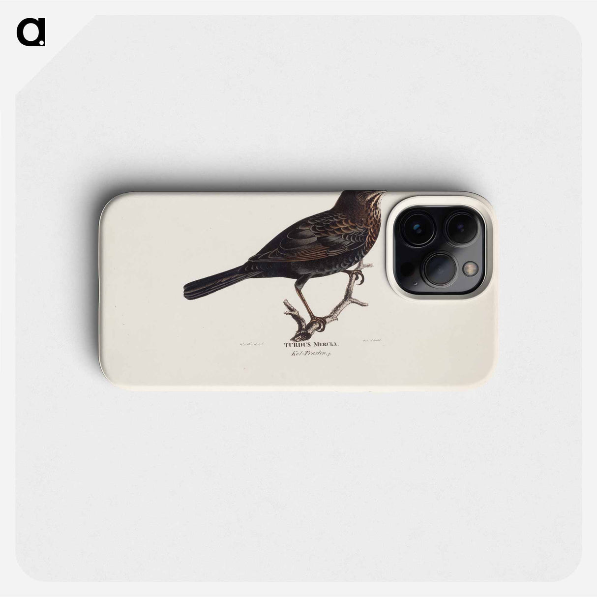 Female blackbird - Wilhelm von Wright Phone Case.