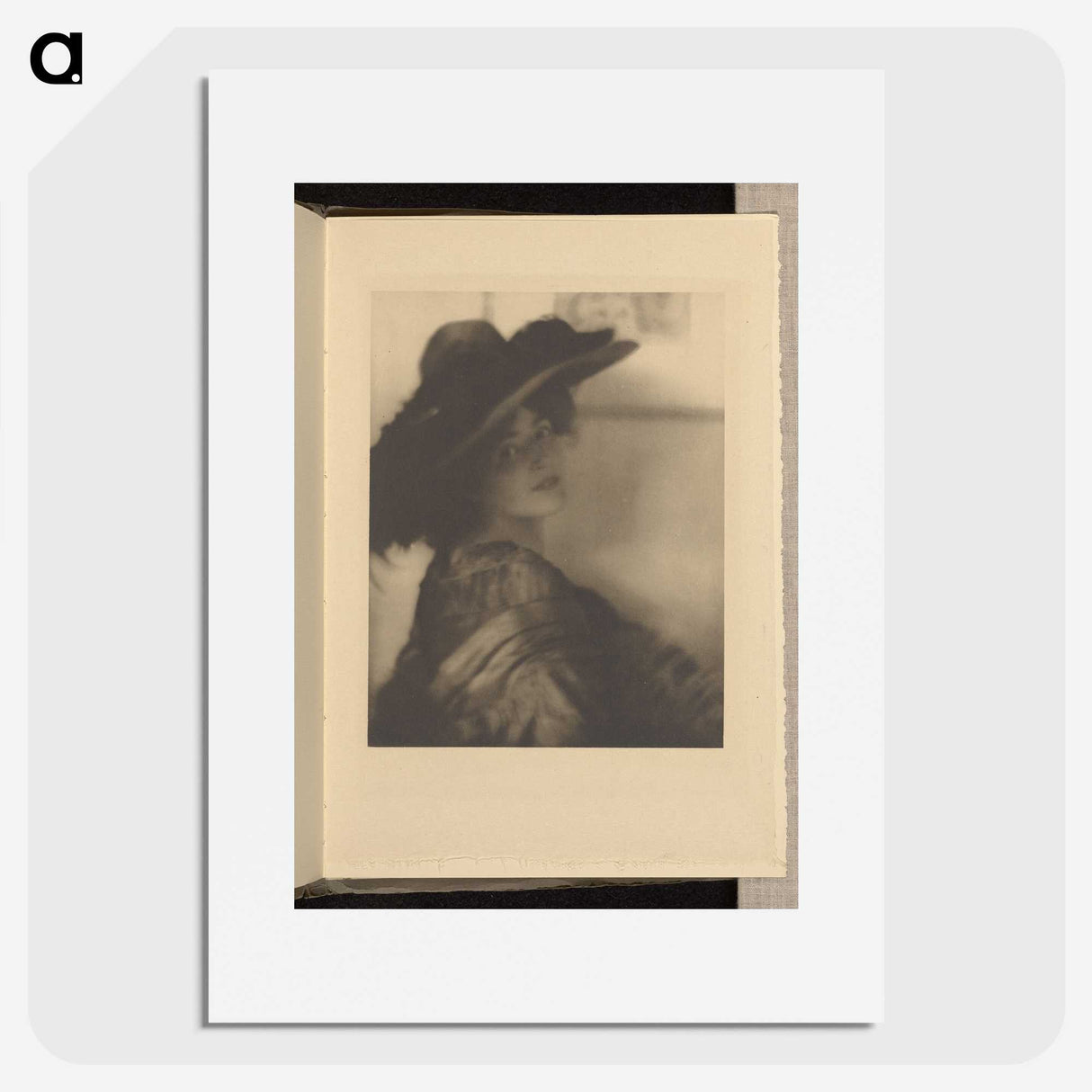 1-37_Alfred-Stieglitz_picture