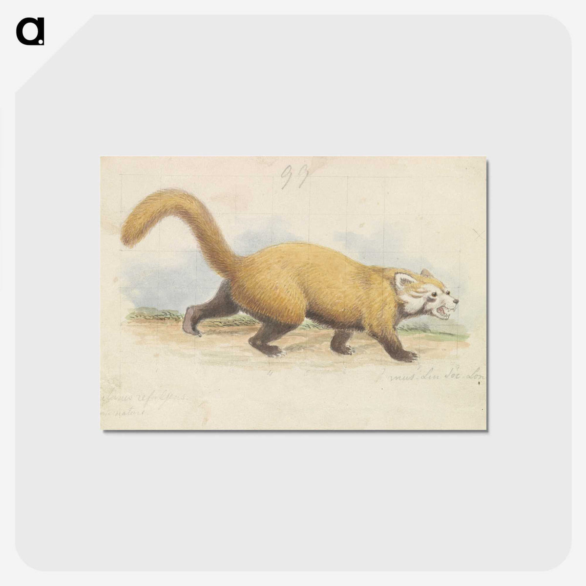 1-37_Charles-Hamilton-Smith_postcard