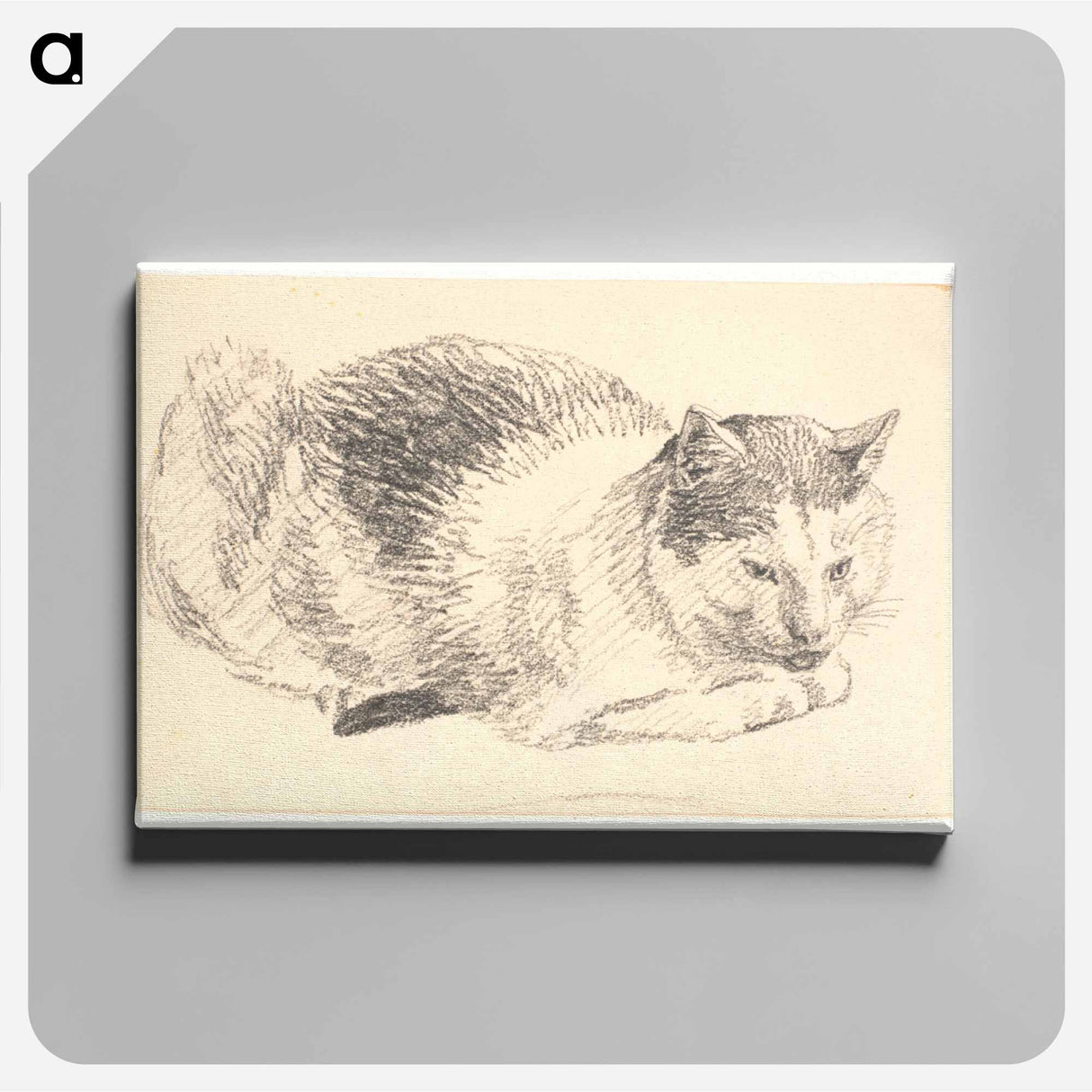 Lying cat - クリステン ケプケ Canvas.