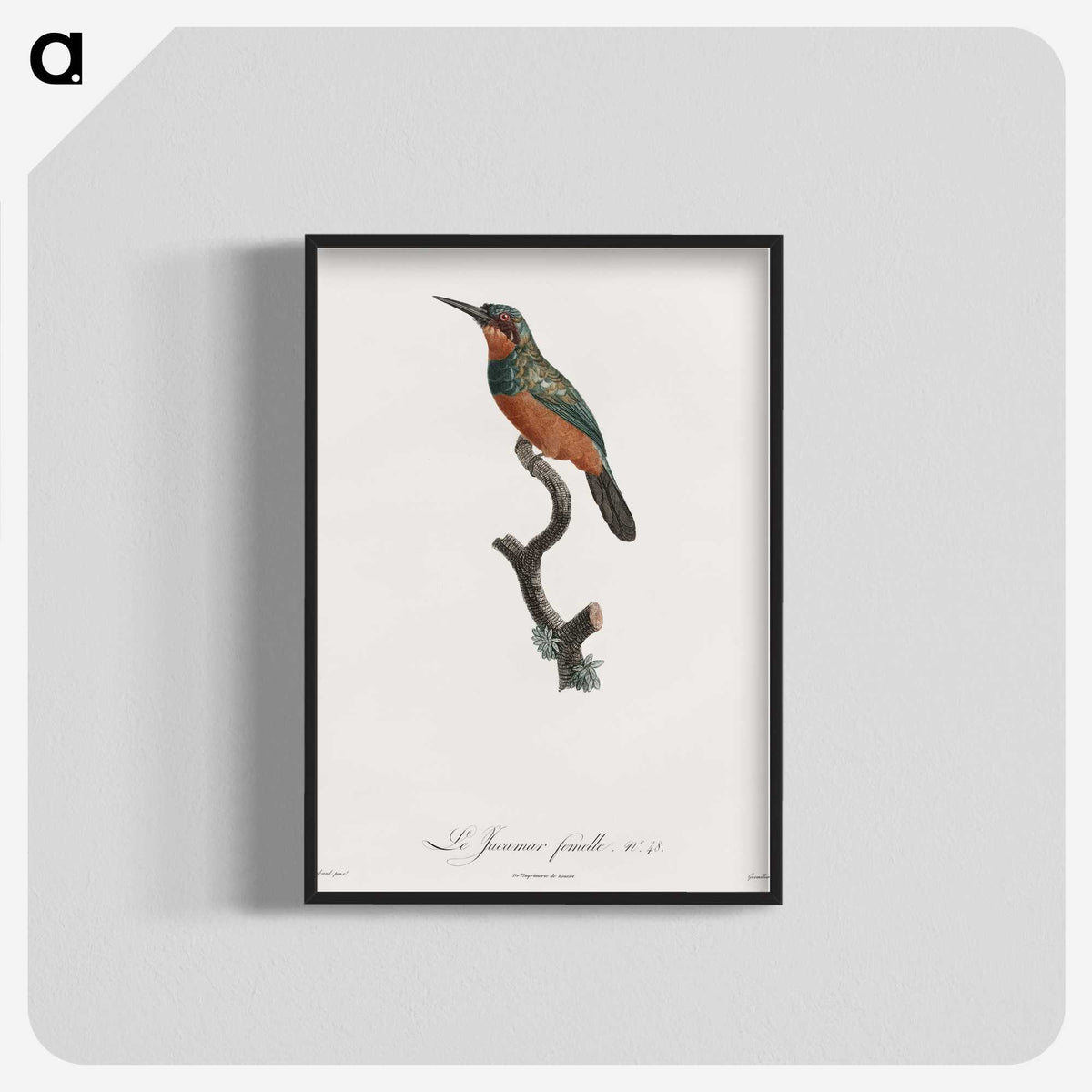 1-37_Des-Oiseaux-de-Paradis_blk-crop