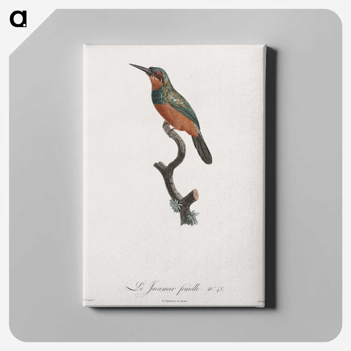 1-37_Des-Oiseaux-de-Paradis_canvas