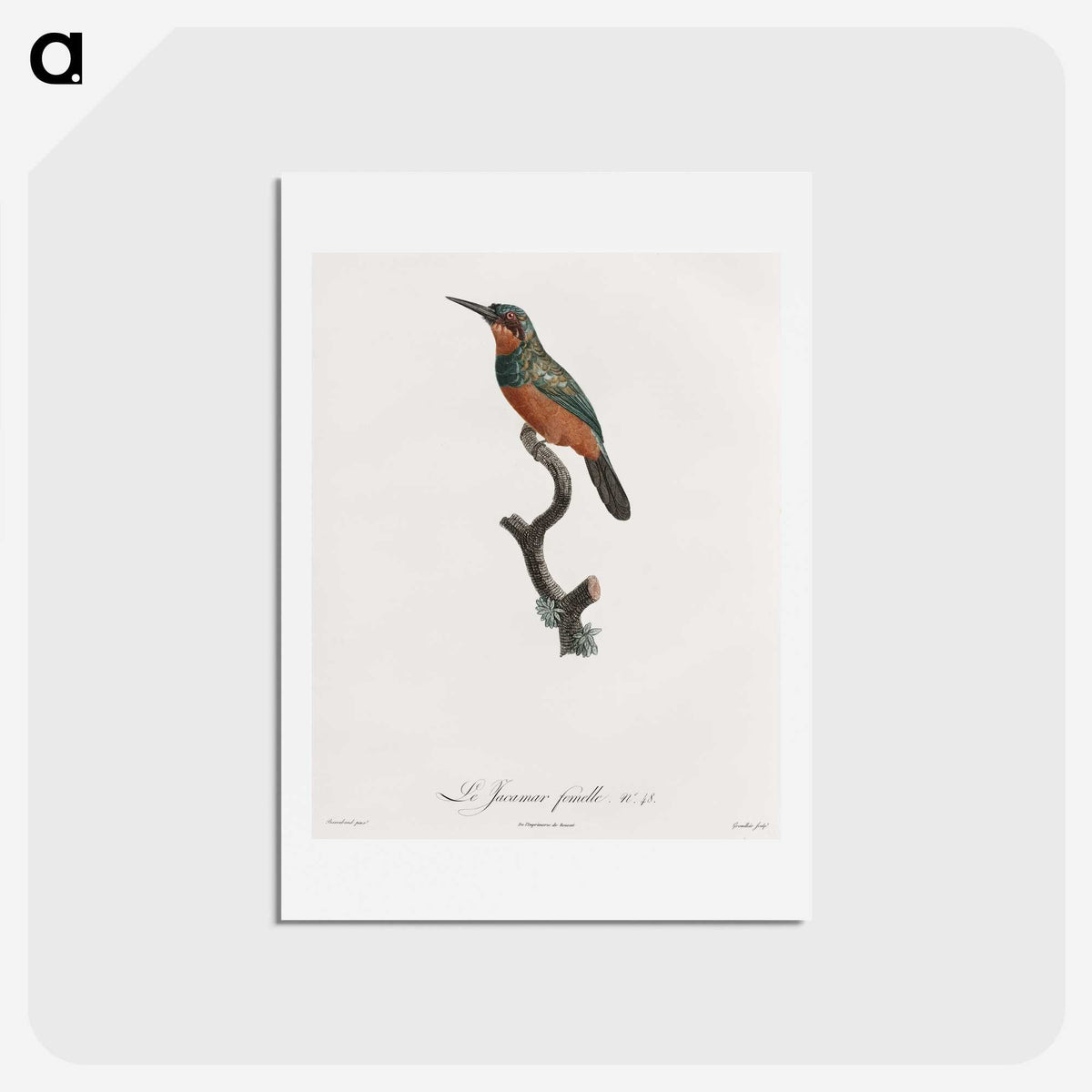 1-37_Des-Oiseaux-de-Paradis_hagaki