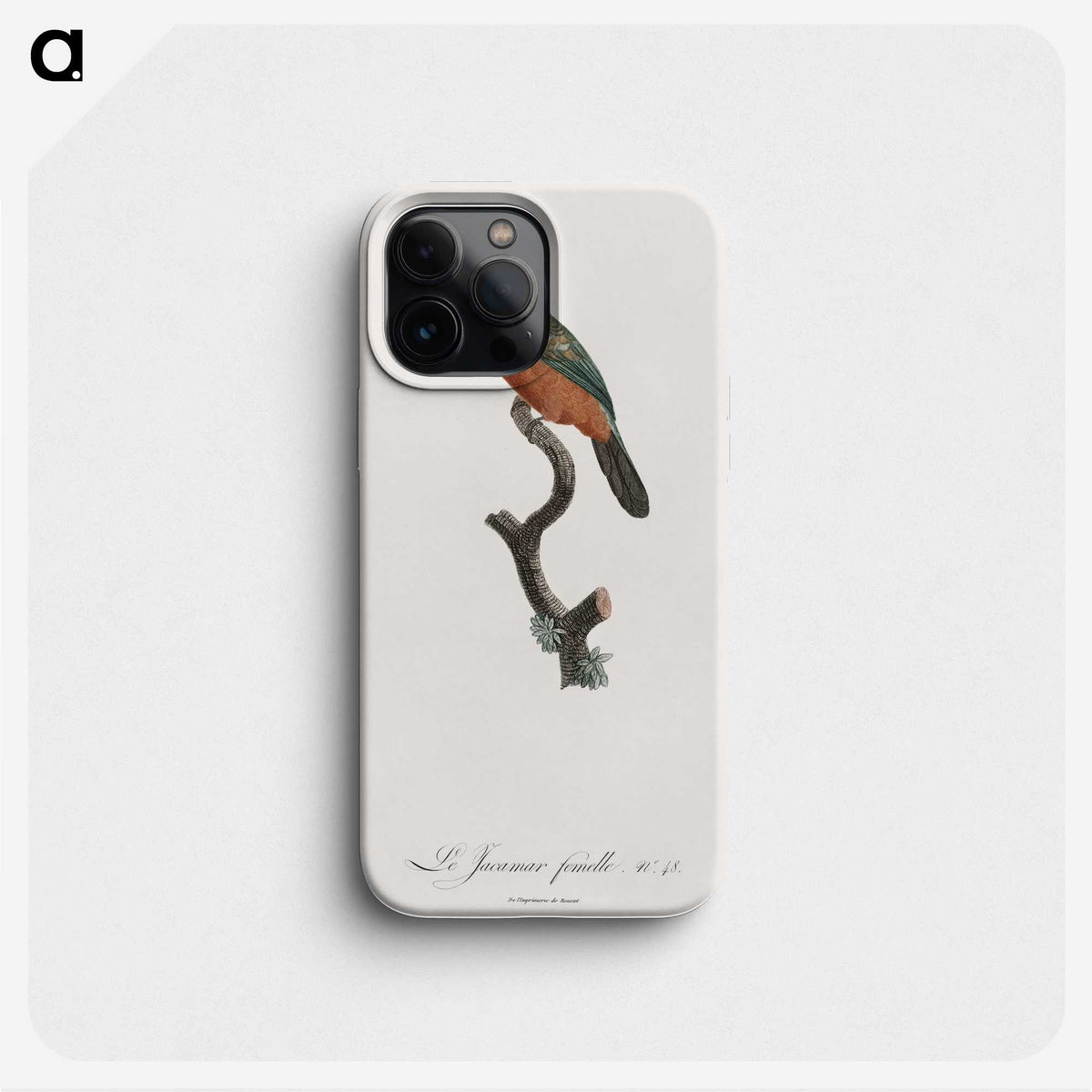 1-37_Des-Oiseaux-de-Paradis_phone