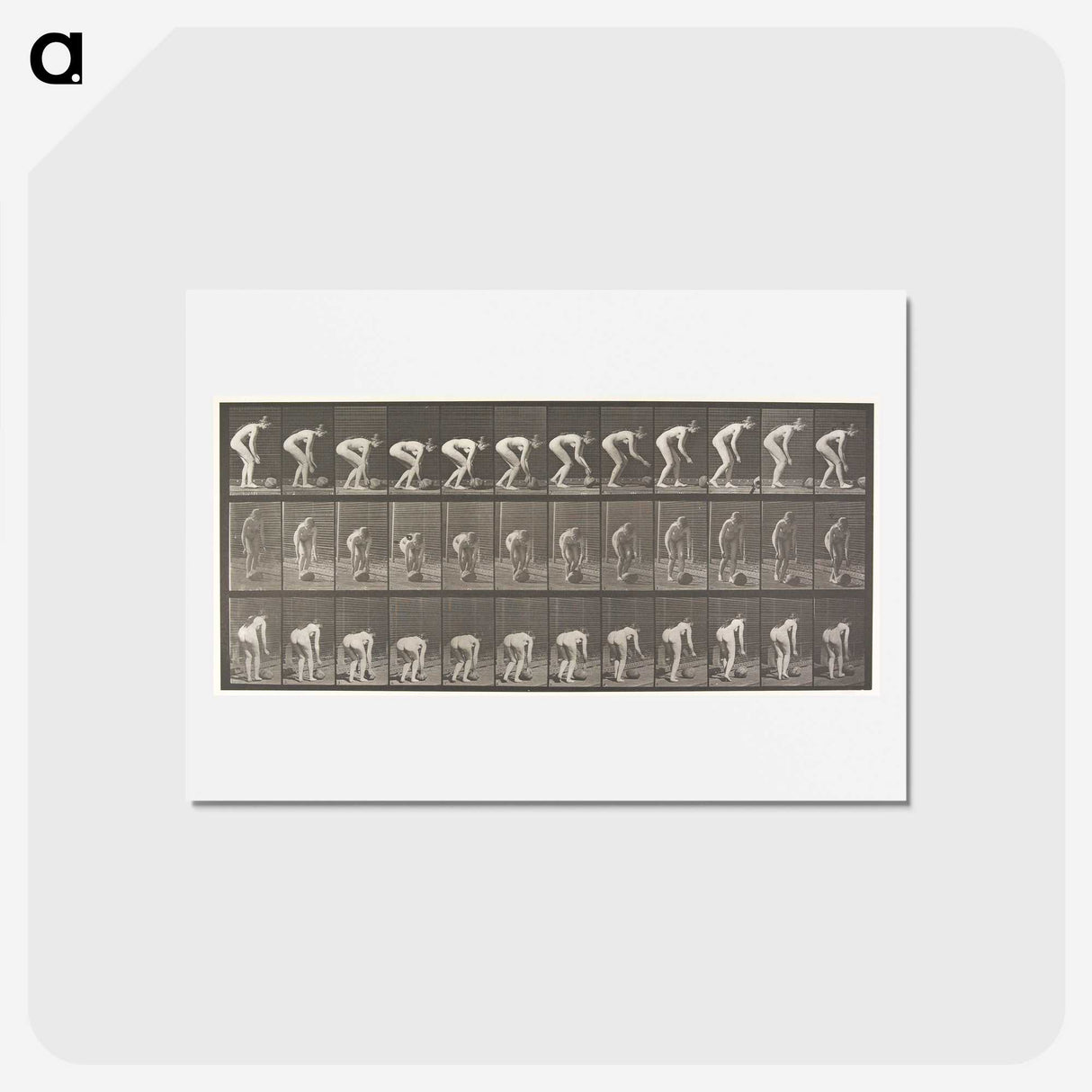 1-37_Eadweard-Muybridge_hagaki