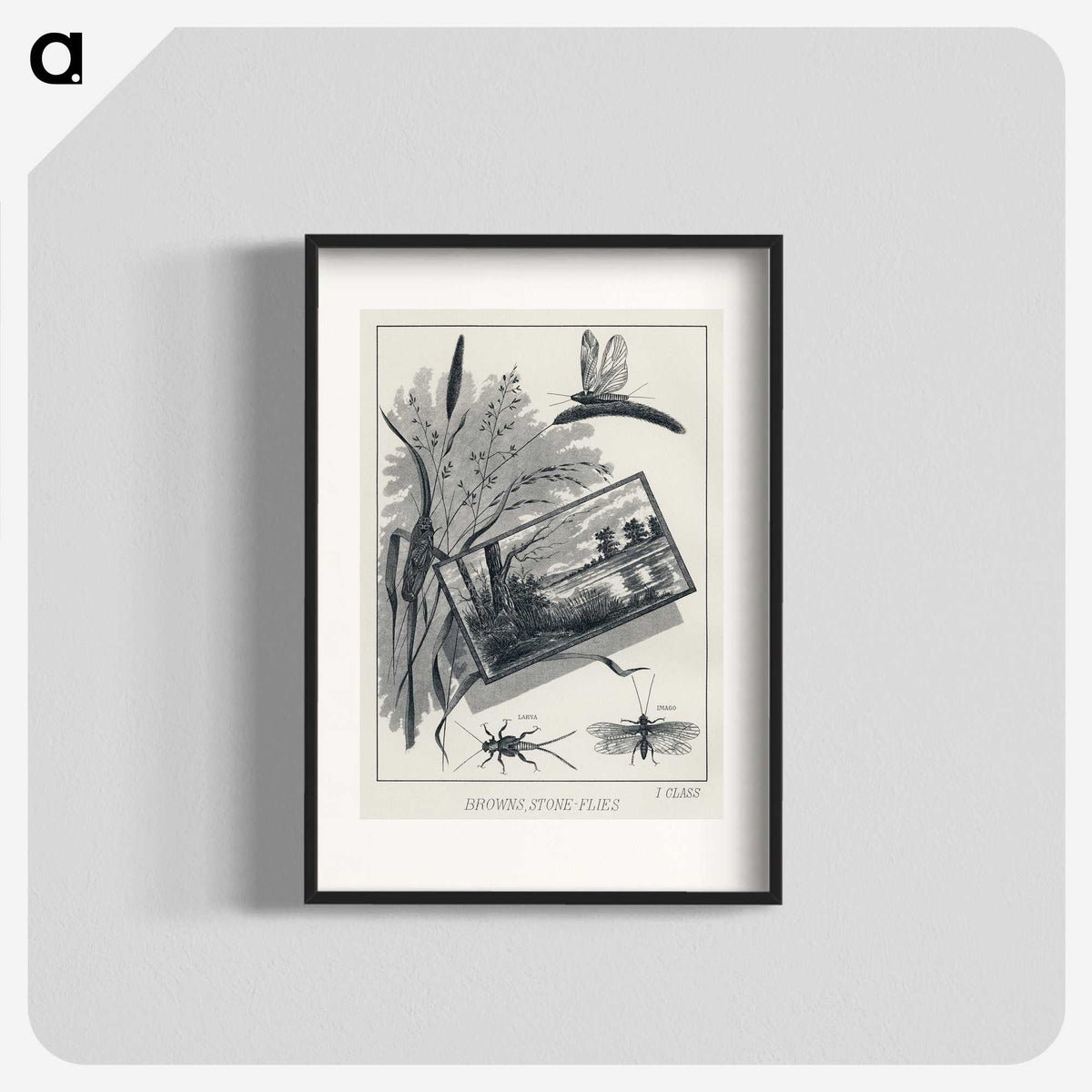 1-37_Favorite-Flies-and-Their-History_blk