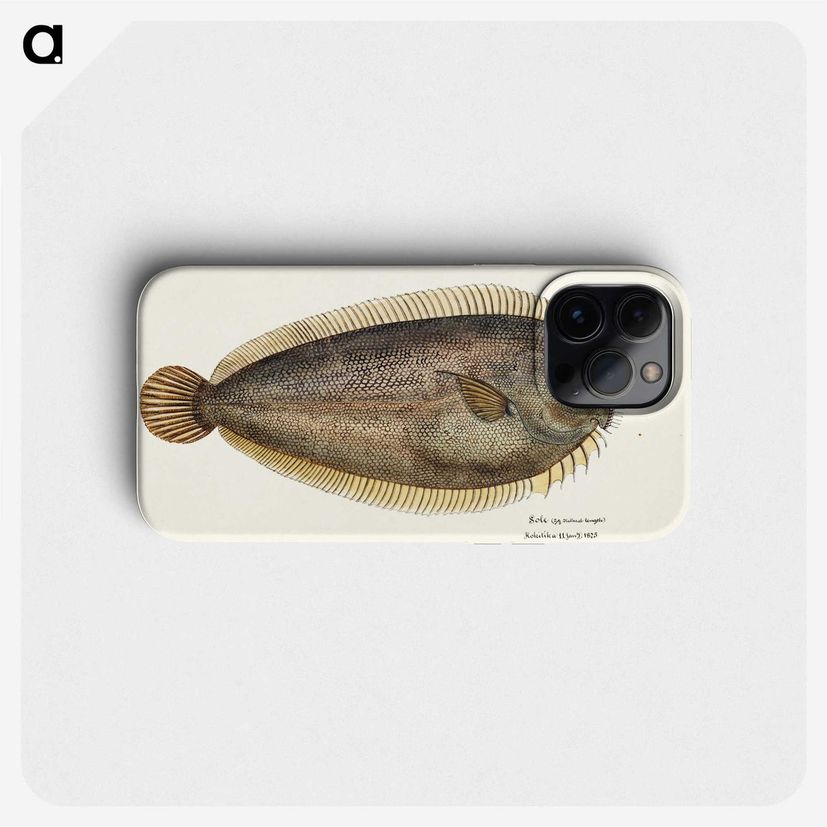 1-37_Frank-Edward-Clarke_phone