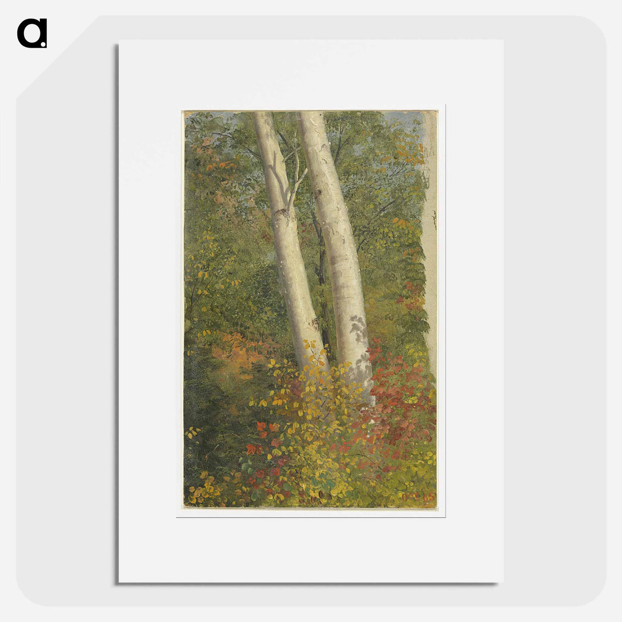 アートポスター-Birch Trees in Autumn - フレデリック エドウィン チャーチ Poster.