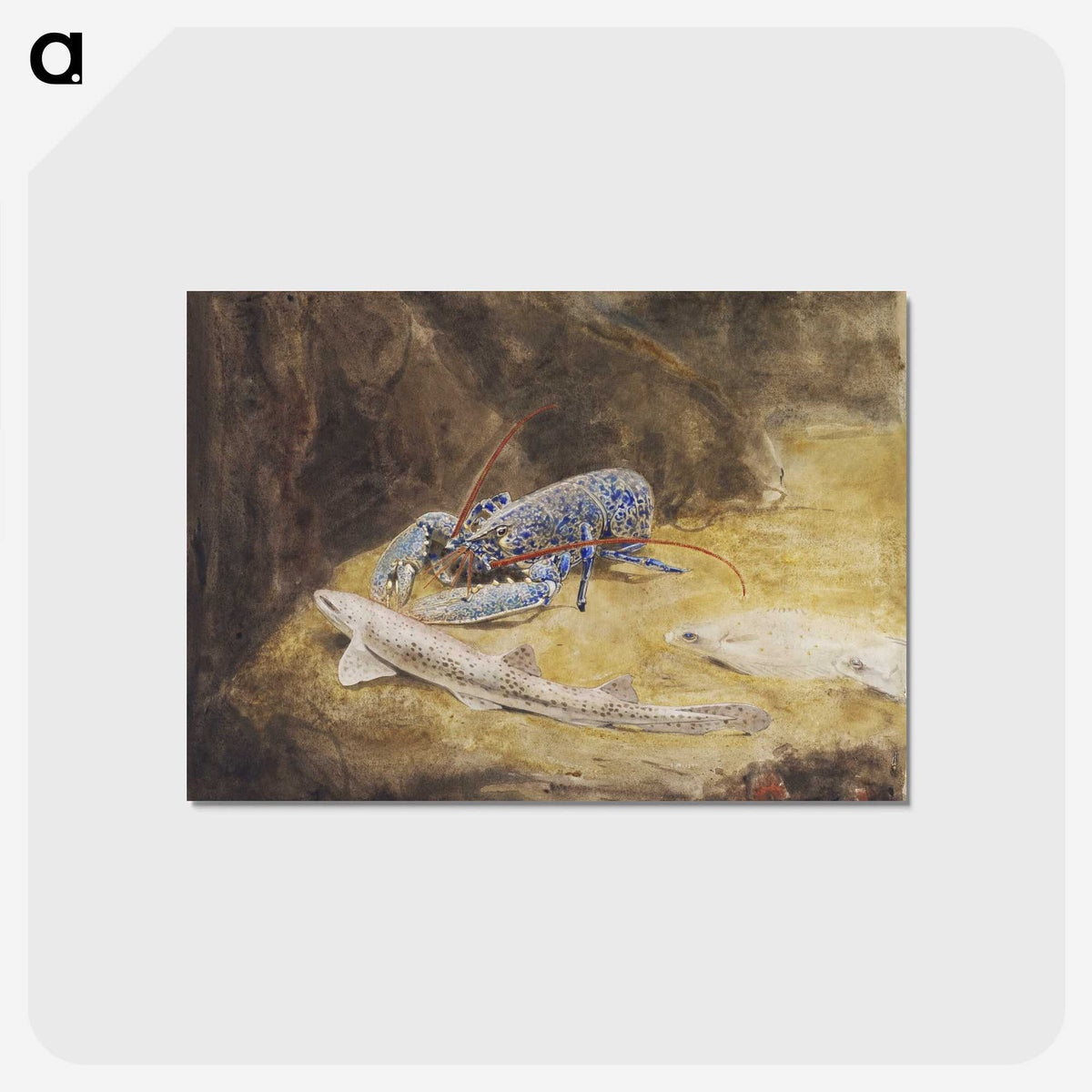 1-37_Gerrit-Willem-Dijsselhof_postcard
