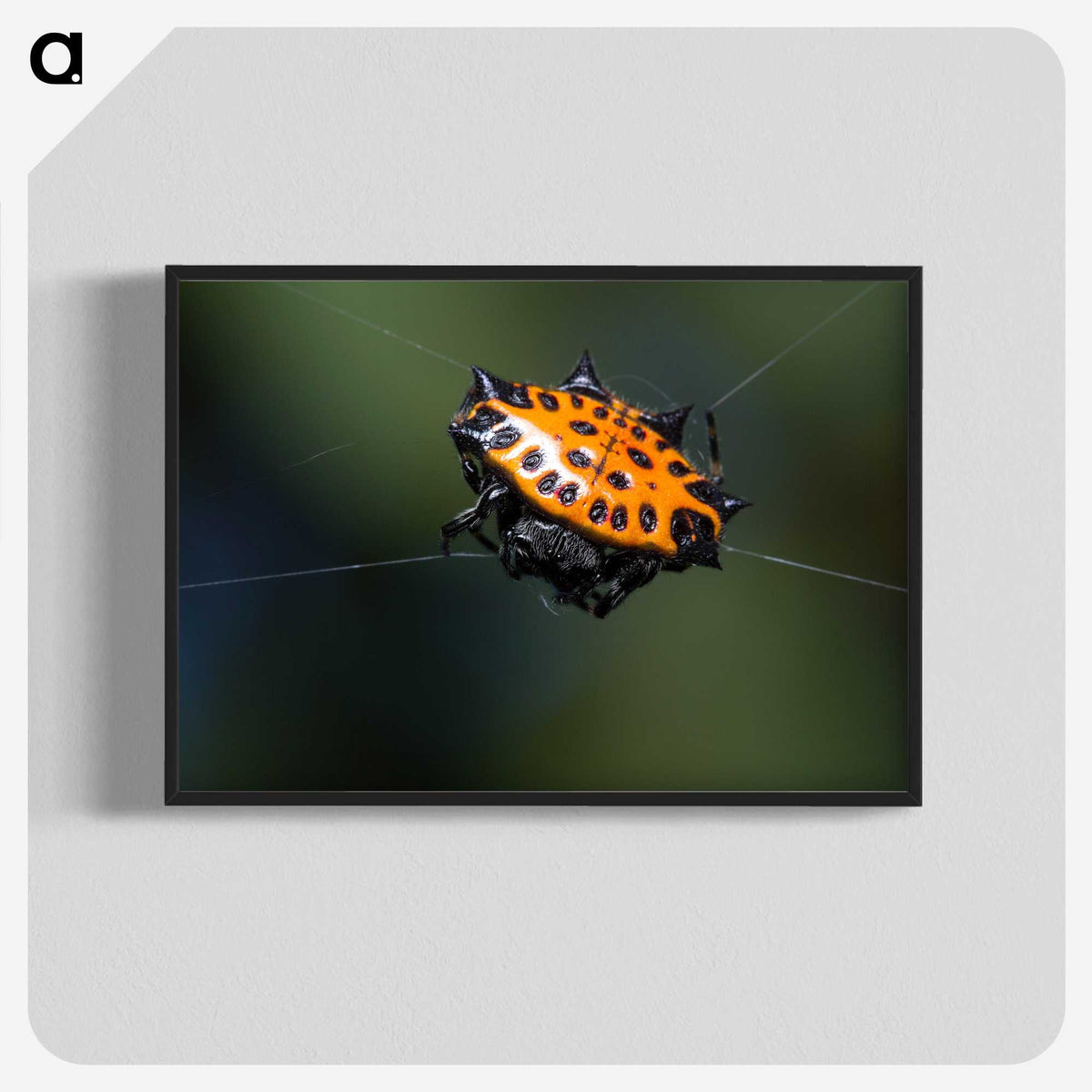 1-37_Insects-Unlocked-Project_blk-crop