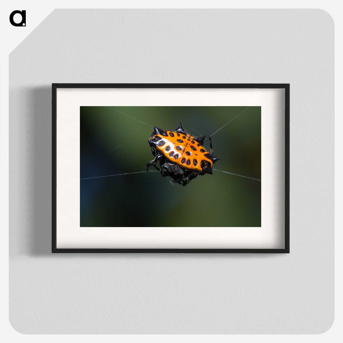 1-37_Insects-Unlocked-Project_blk