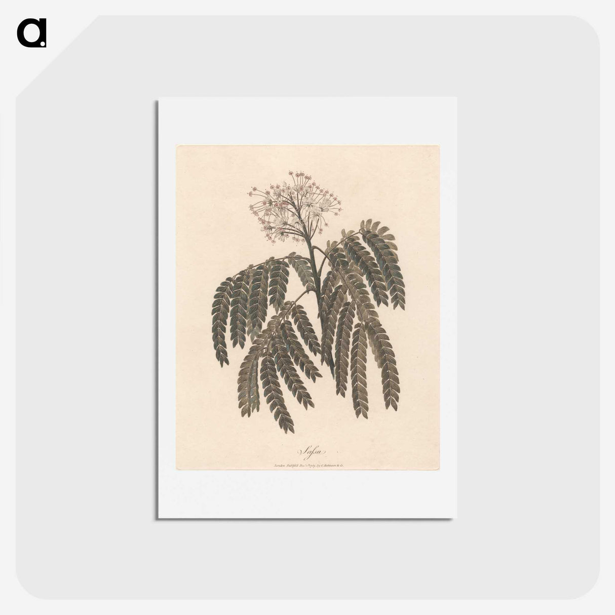 1-37_James-Heath_hagaki