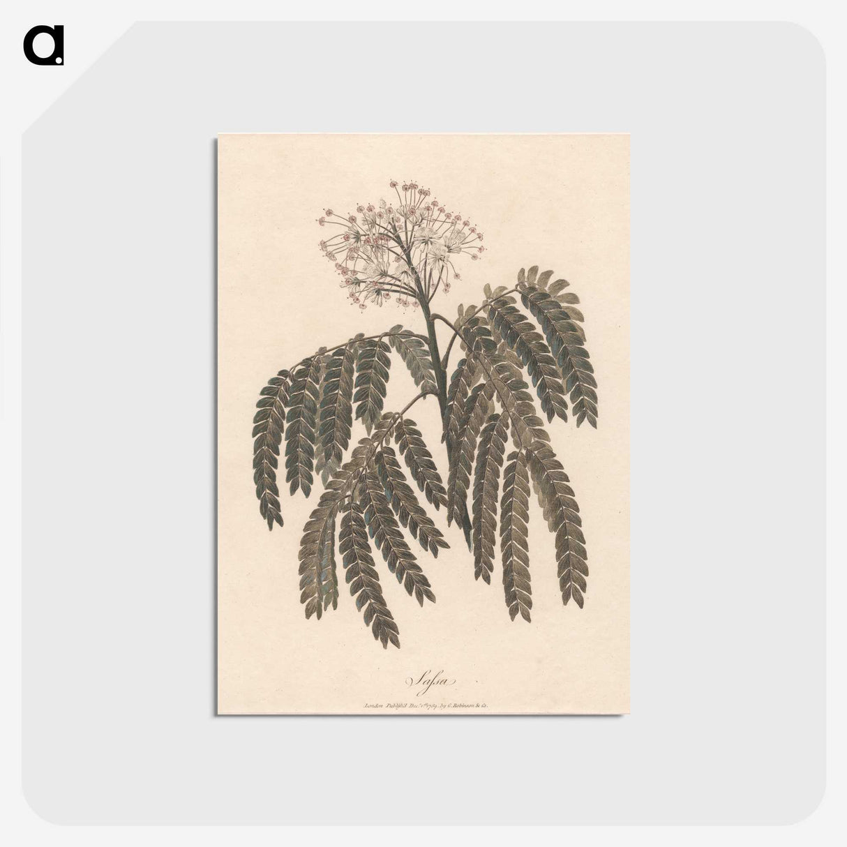 1-37_James-Heath_postcard