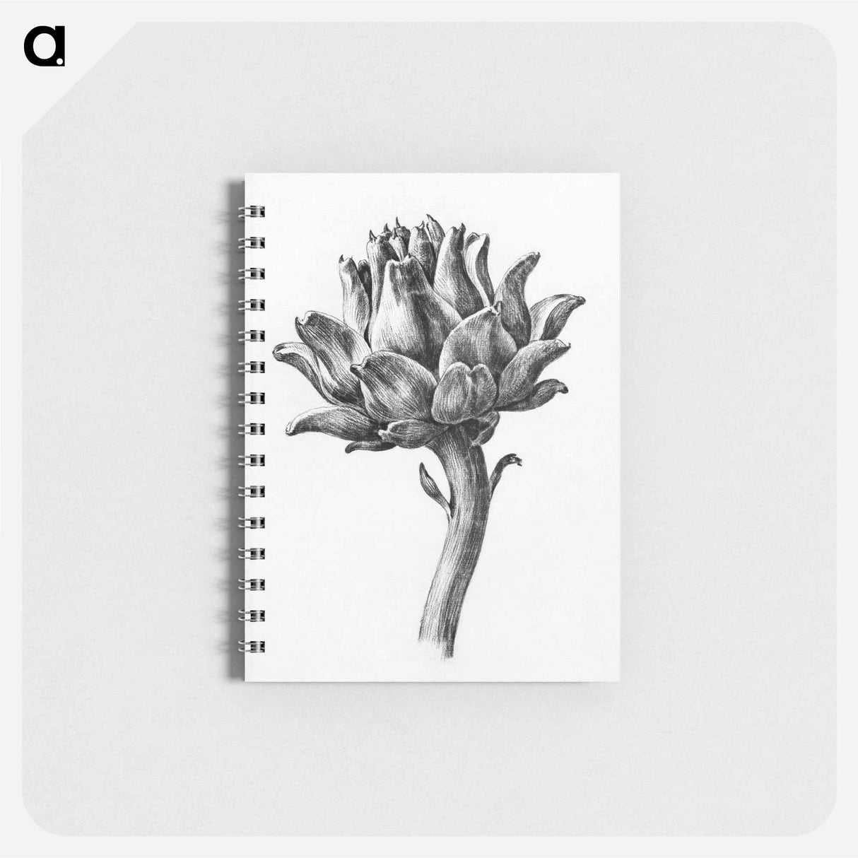 Artichoke - ジャン ベルナール Memo.